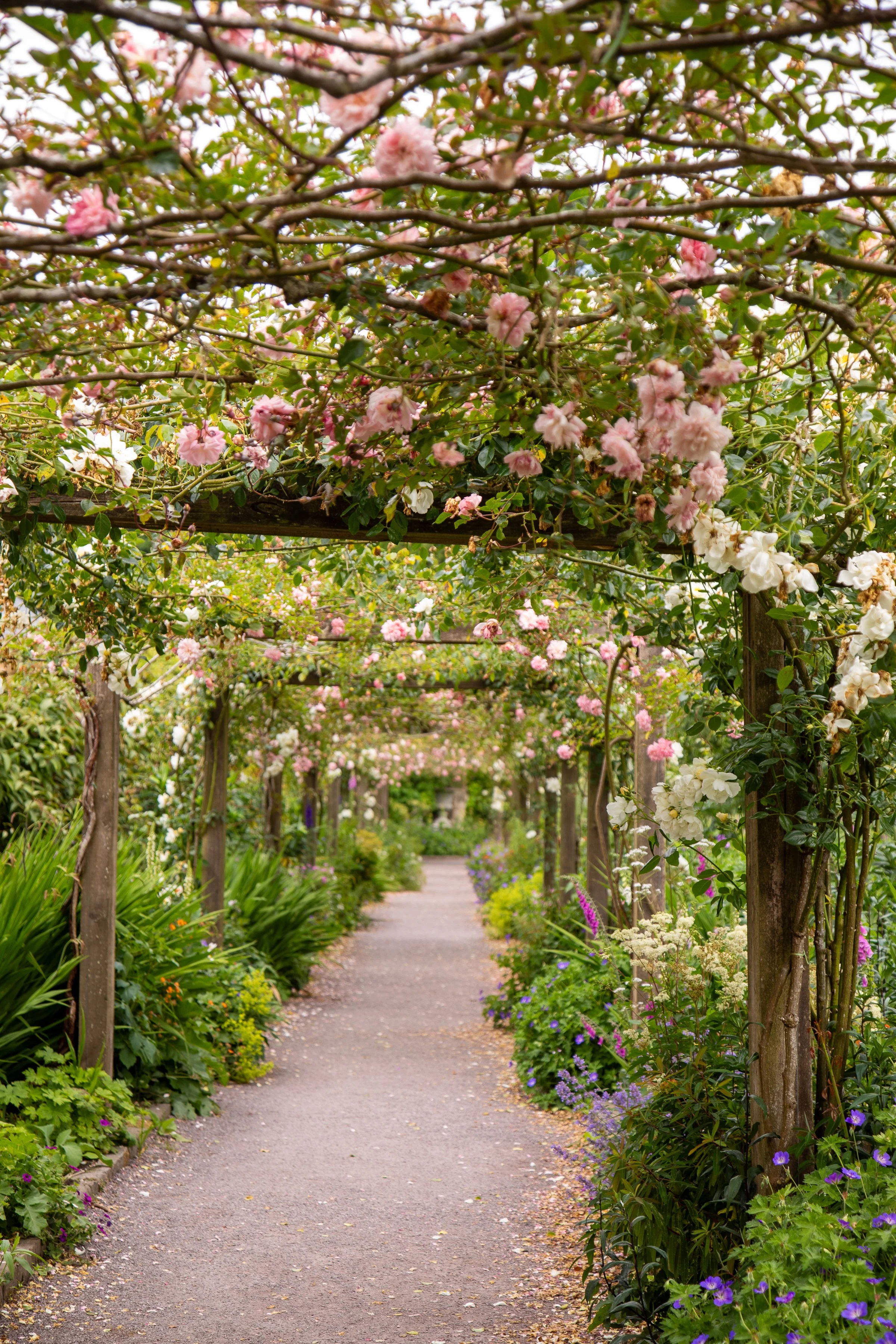 Kelly Pendery-0955.jpg