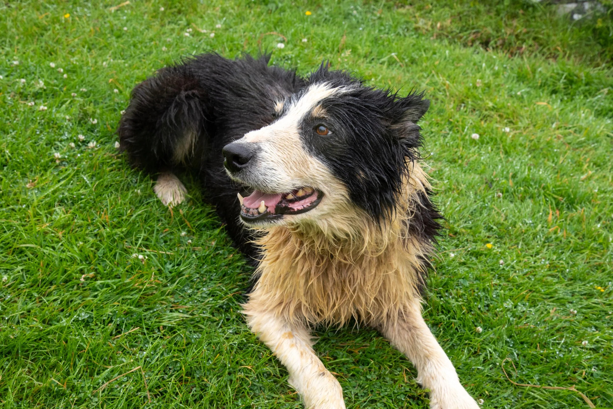 Kelly Pendery-1063.jpg