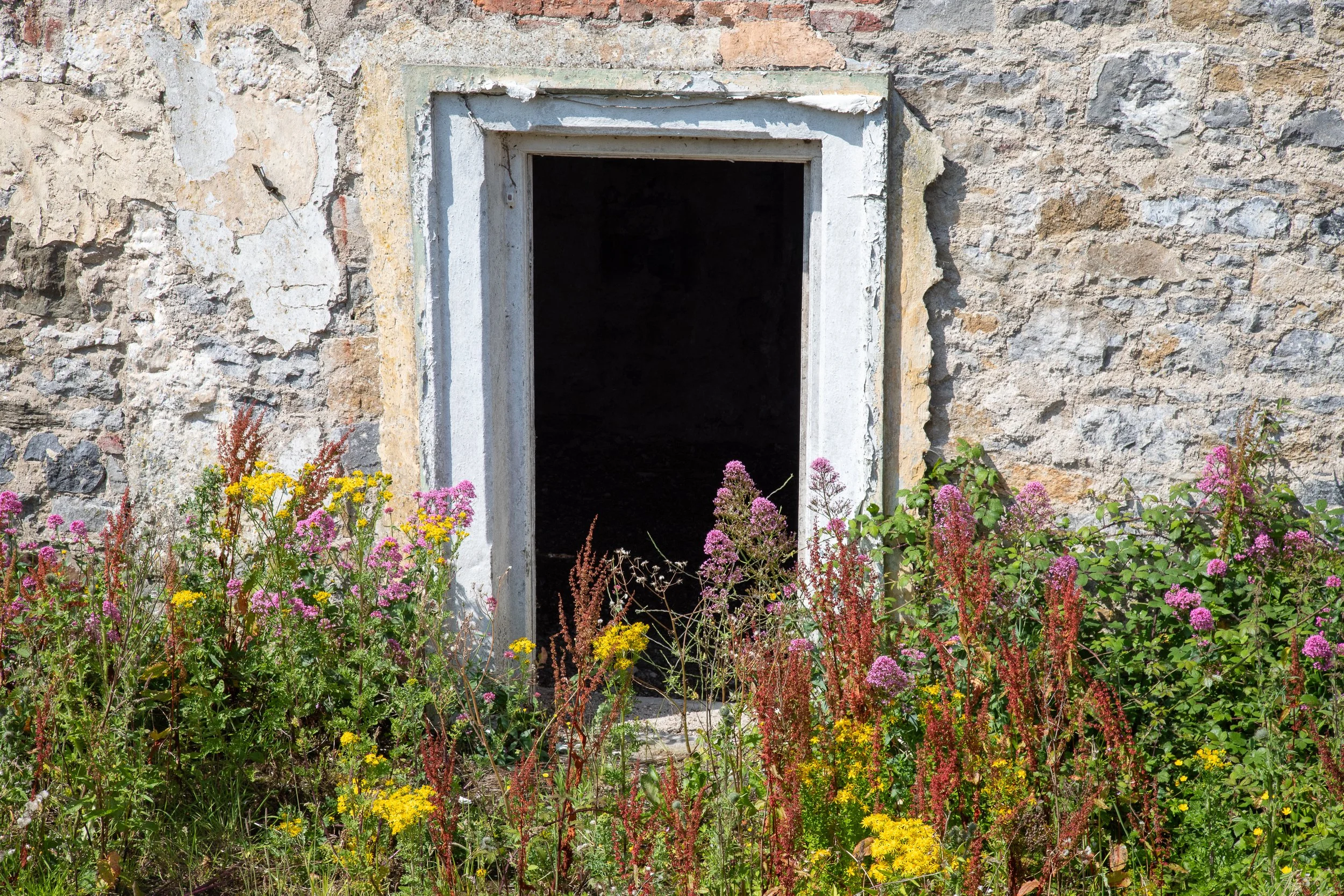 Kelly Pendery-0779.jpg