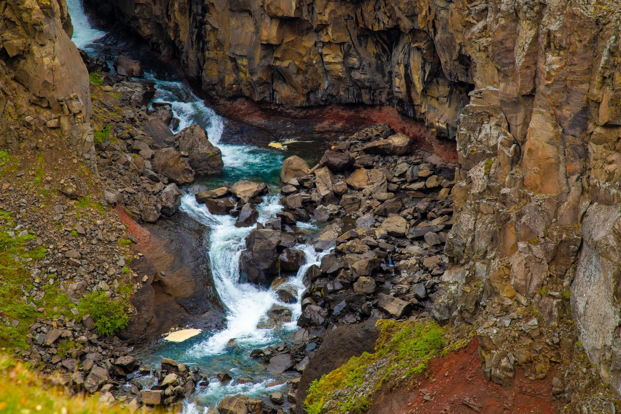 Kelly Pendery-2-6.jpg