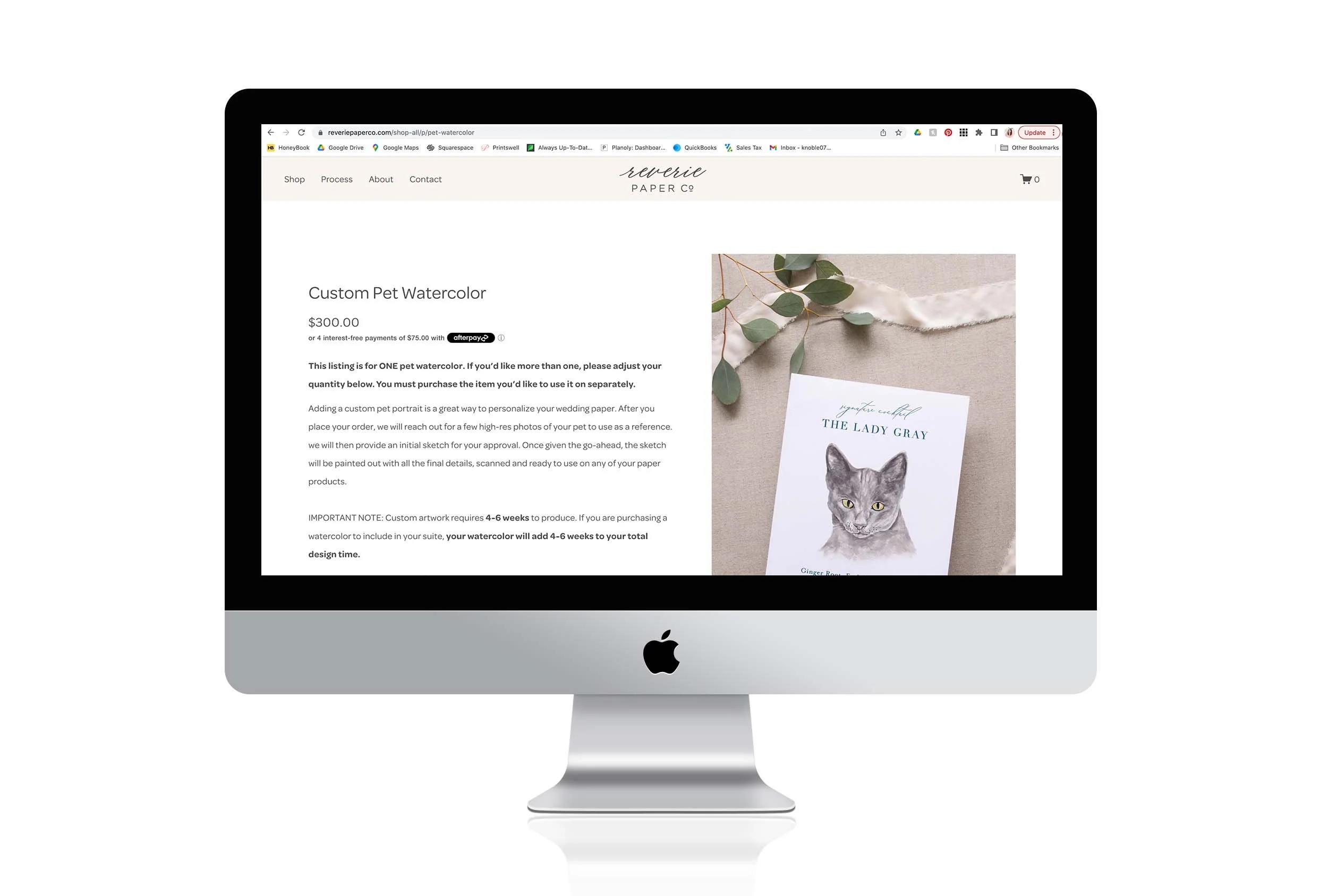 A computer monitor displaying a website selling custom pet watercolor portraits, with a sample portrait of a gray cat and details about ordering and production time.