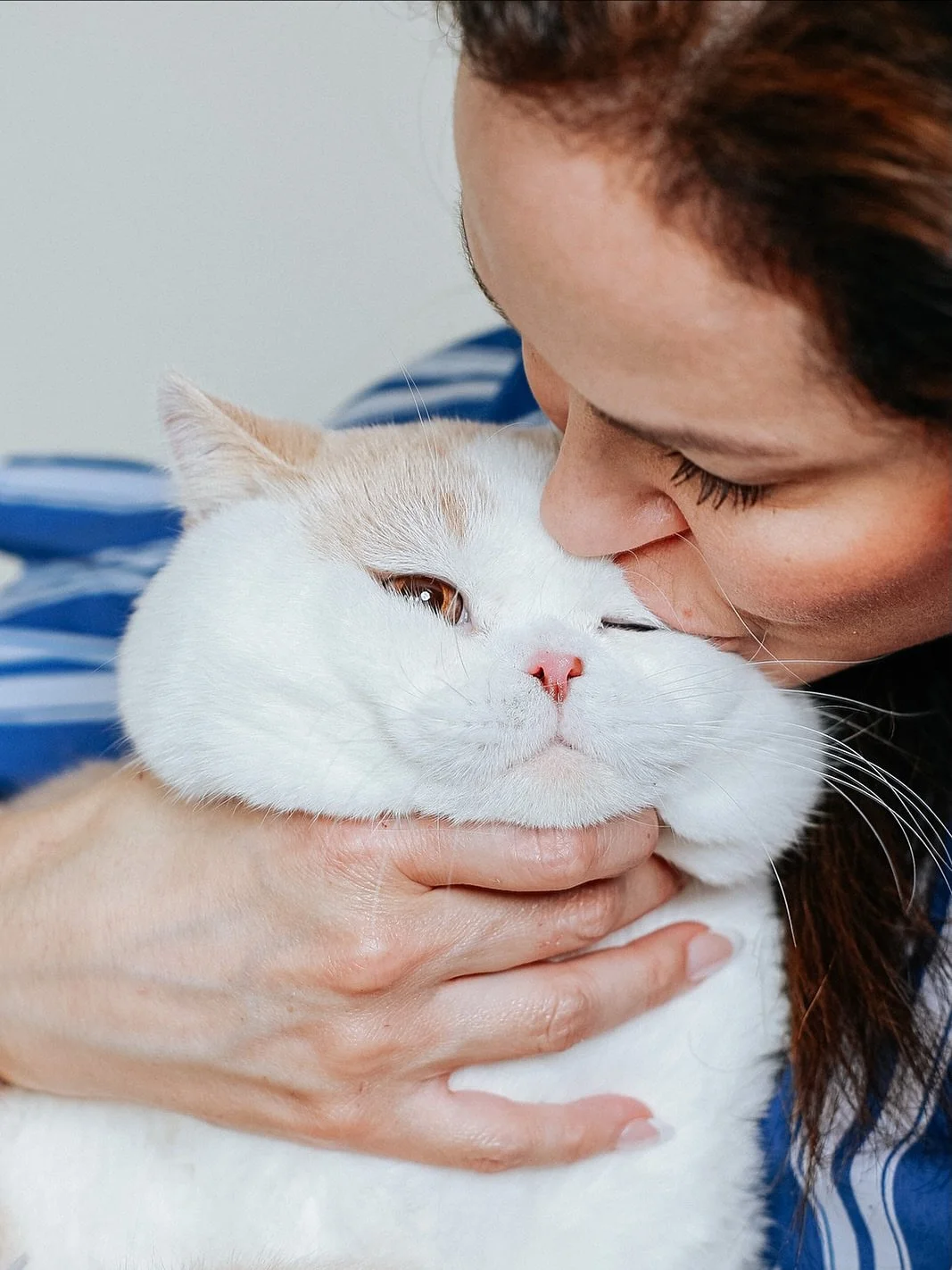 Sometimes the cutest little fluffy creatures end up in front of my camera! ๐พ
These shots were taken for @blueeyedbritish cattery.
What do you think? ๐ฑ๐ฑ๐ฑ