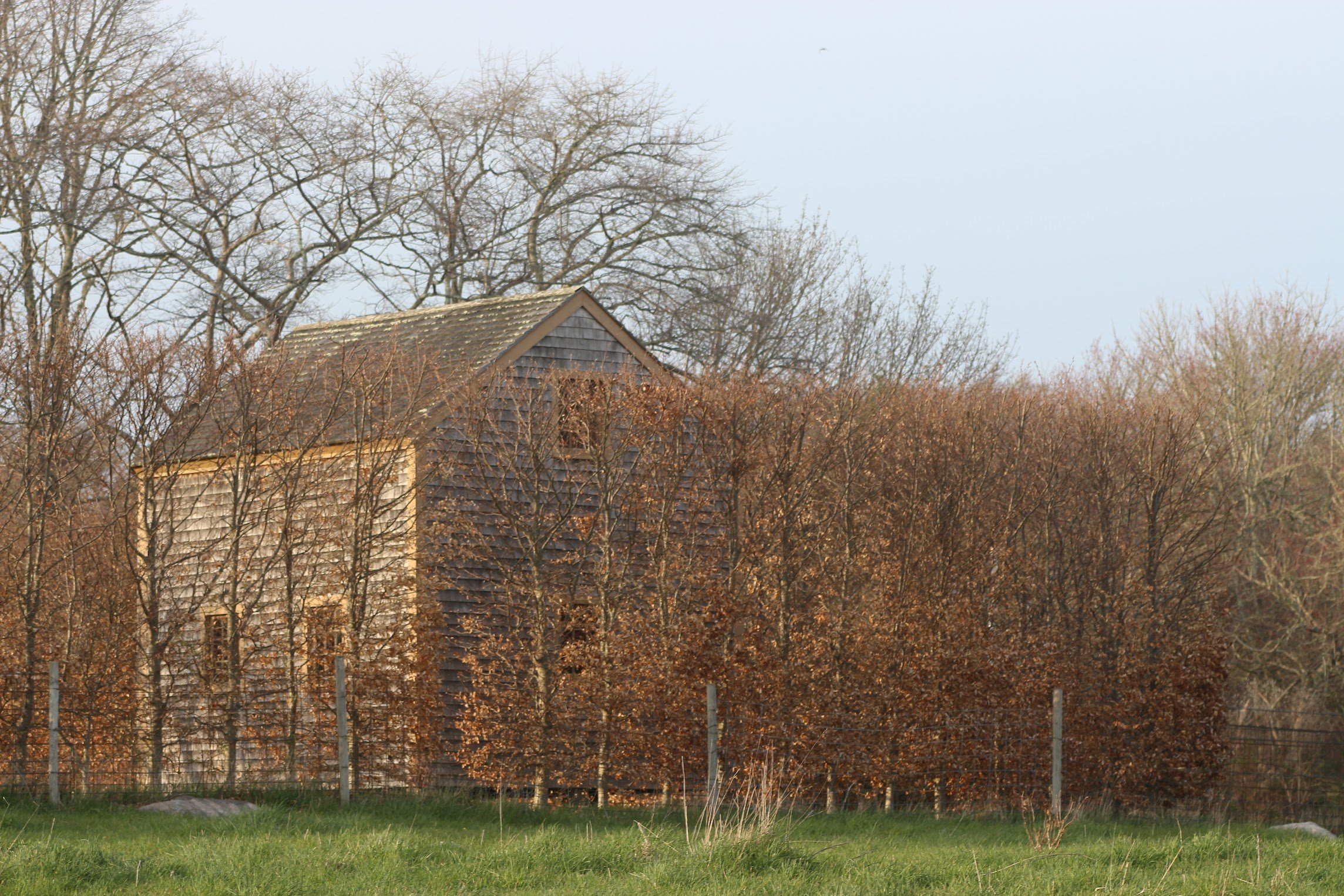 A rural scene with leafless trees, an old wooden house, and a grassy foreground, under a clear sky.