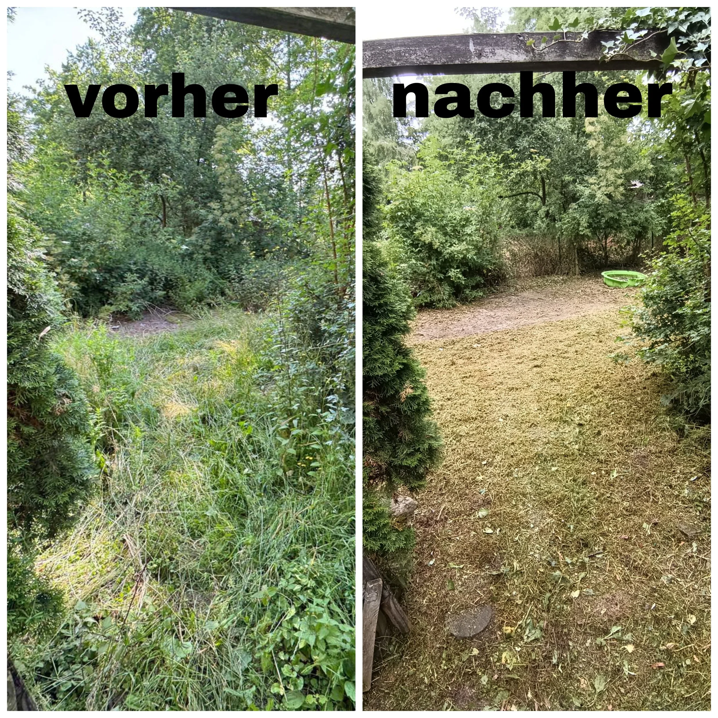 Picsart_25-07-03_10-57-02-627.jpg