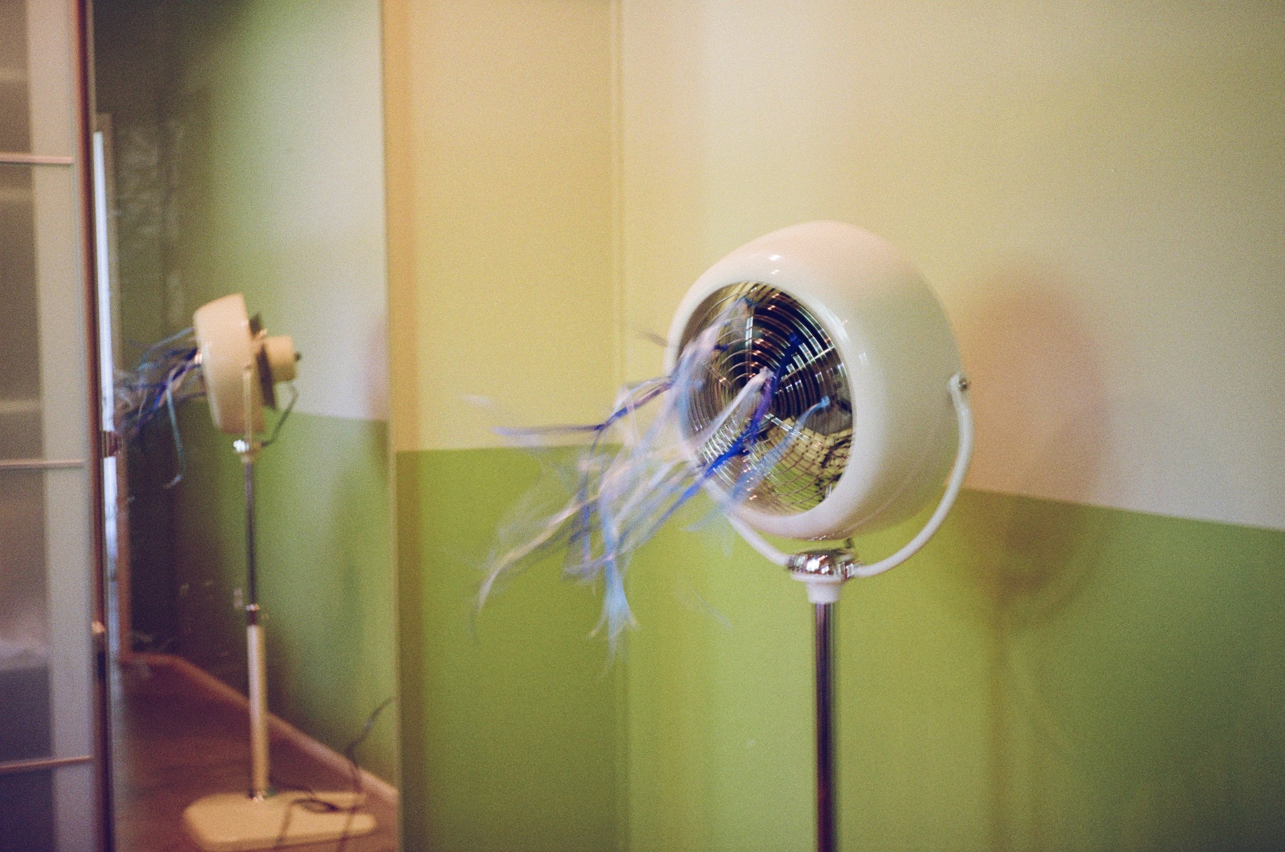 0225_0036.jpeg
