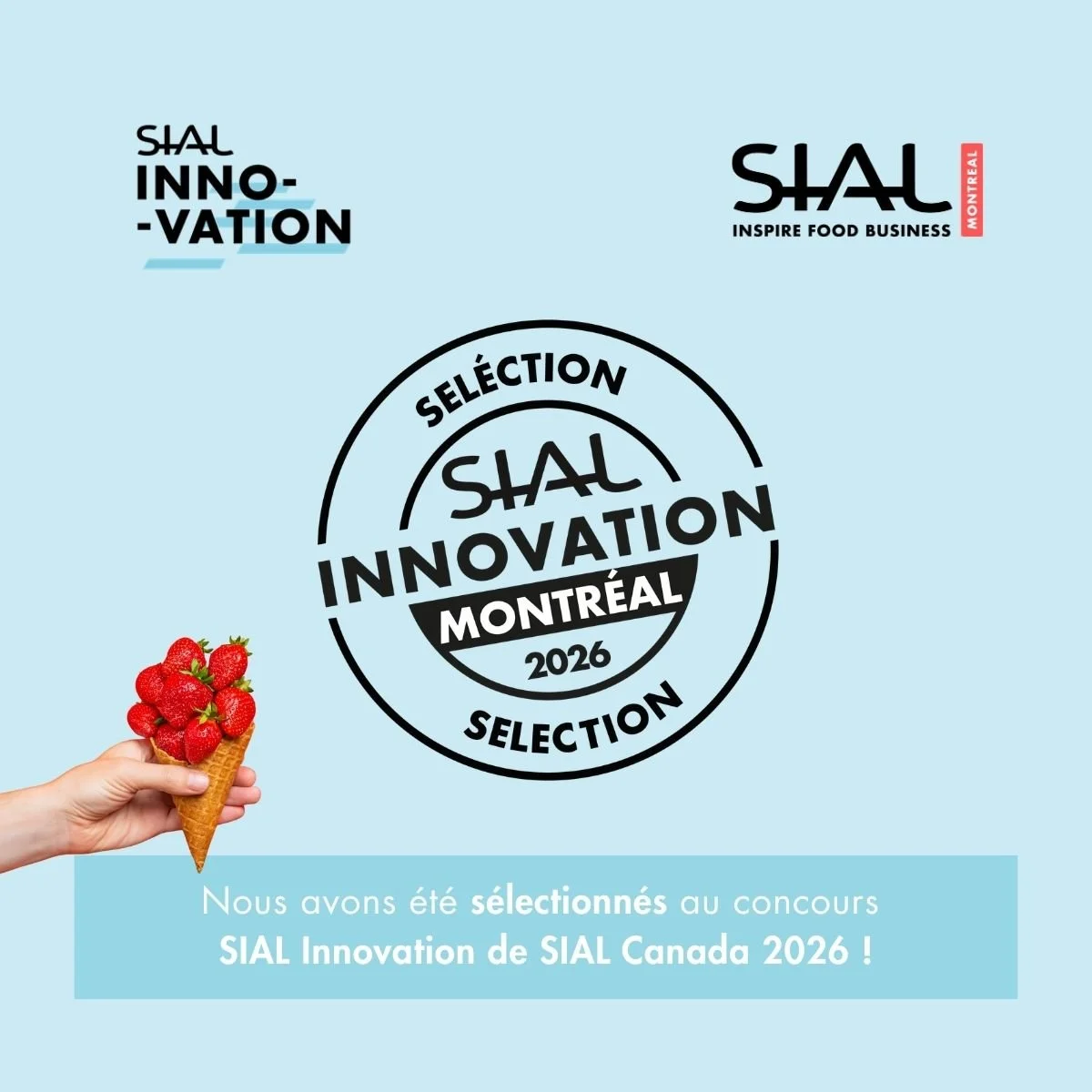 Triplé historique au SIAL Innovation 2026 : L’Hydromellerie Tal s'impose comme chef de file de l'innovation apicole