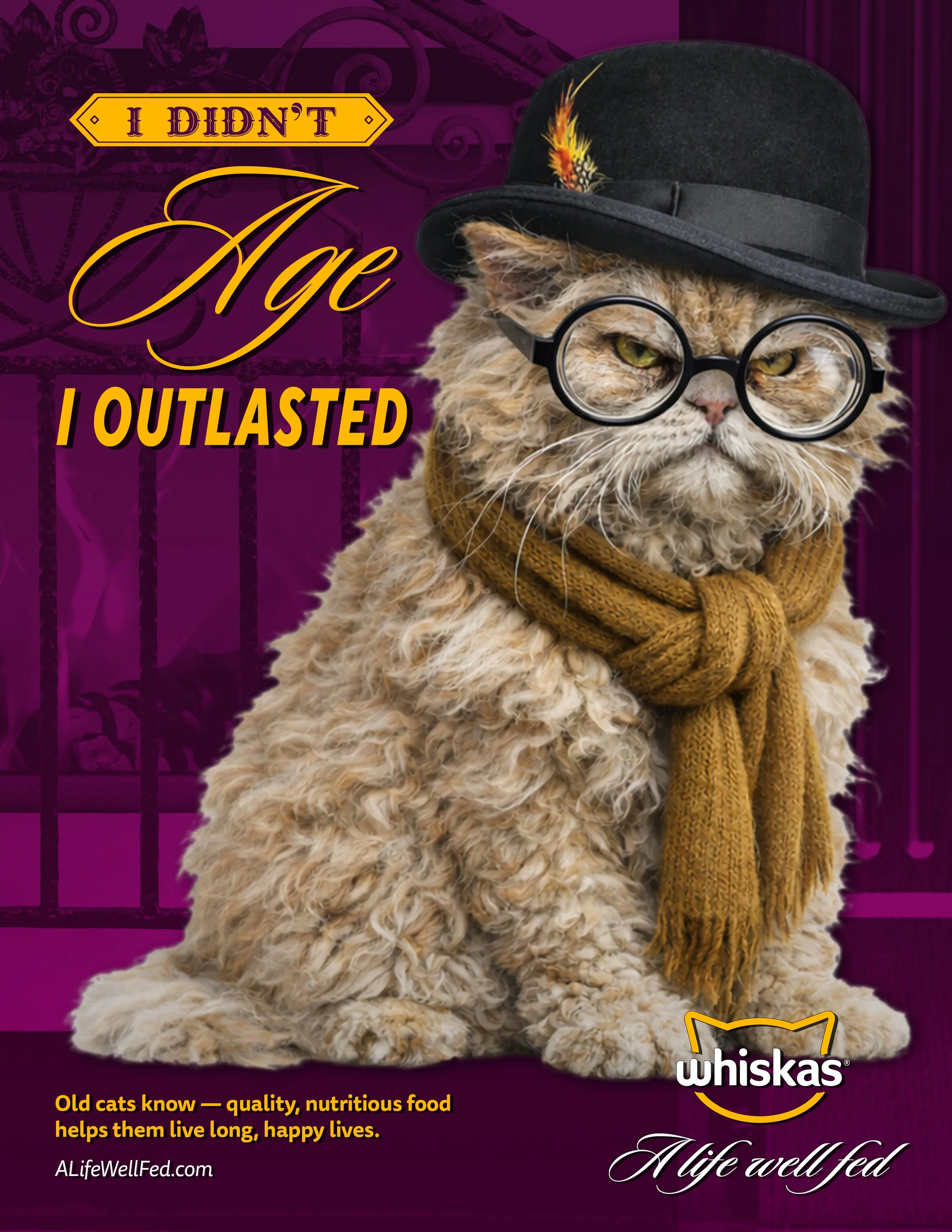 Whiskas_Print_AgedOutlasted_V5.jpg