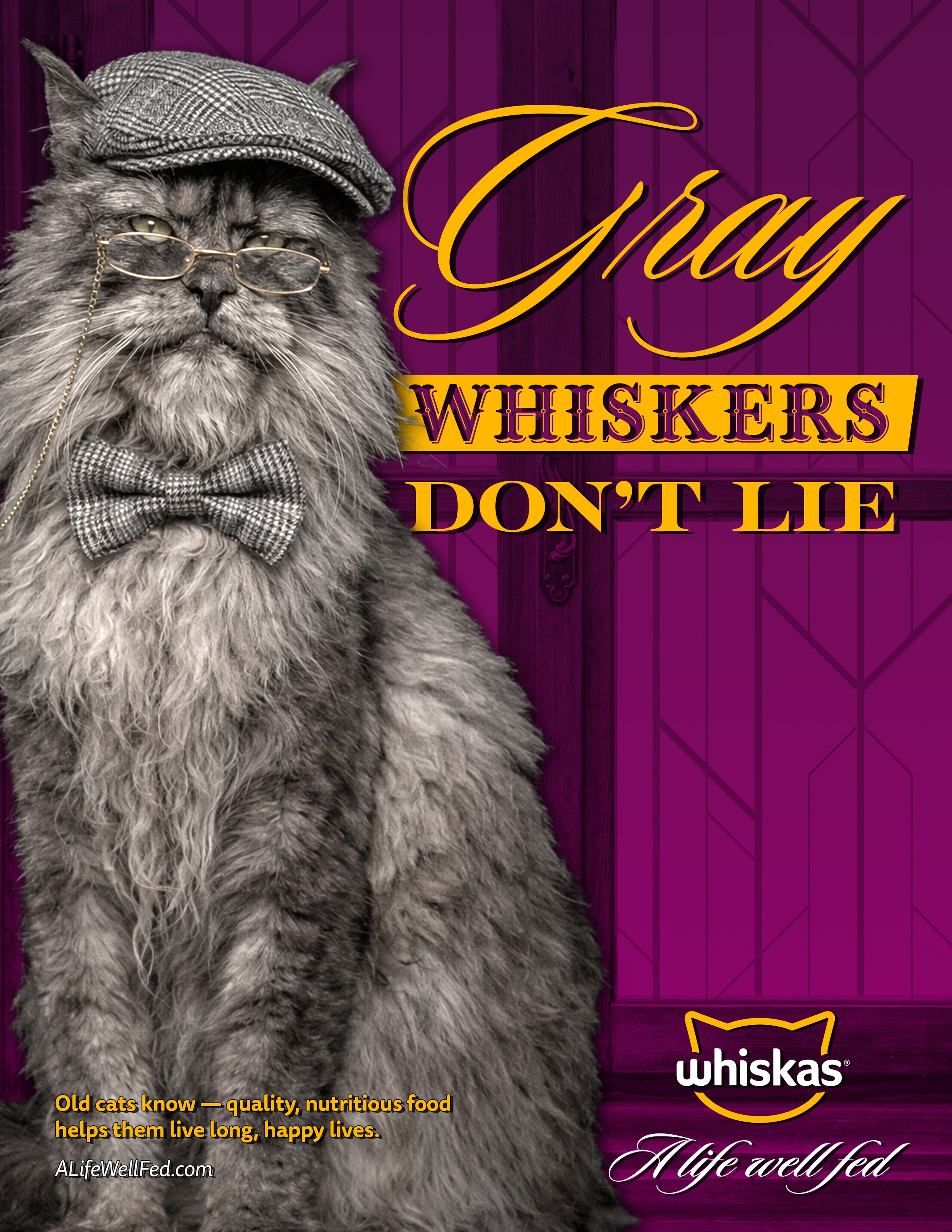 Whiskas_Print_GrayWhiskers_Mix_V4.jpg