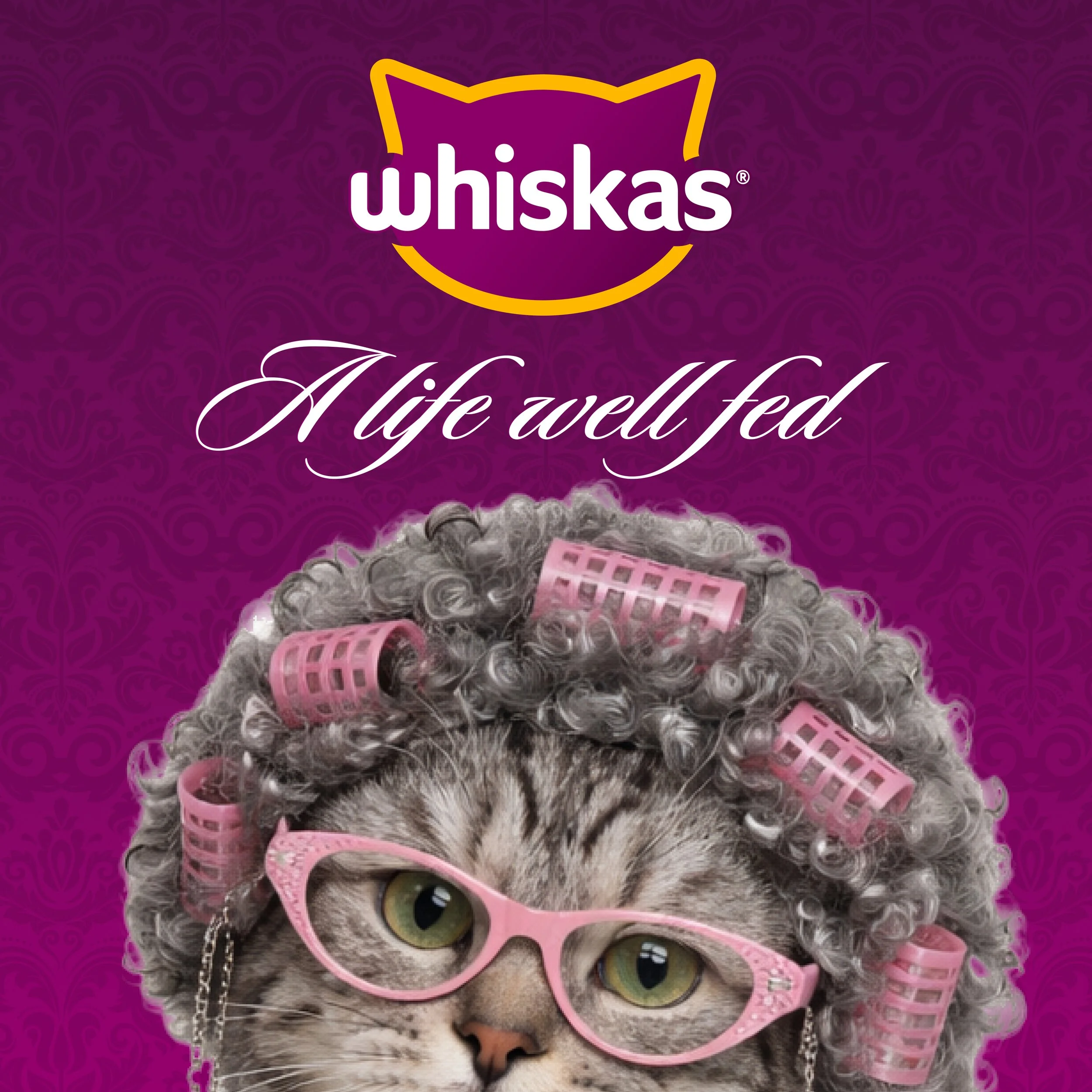 Whiskas: A Life Well Fed