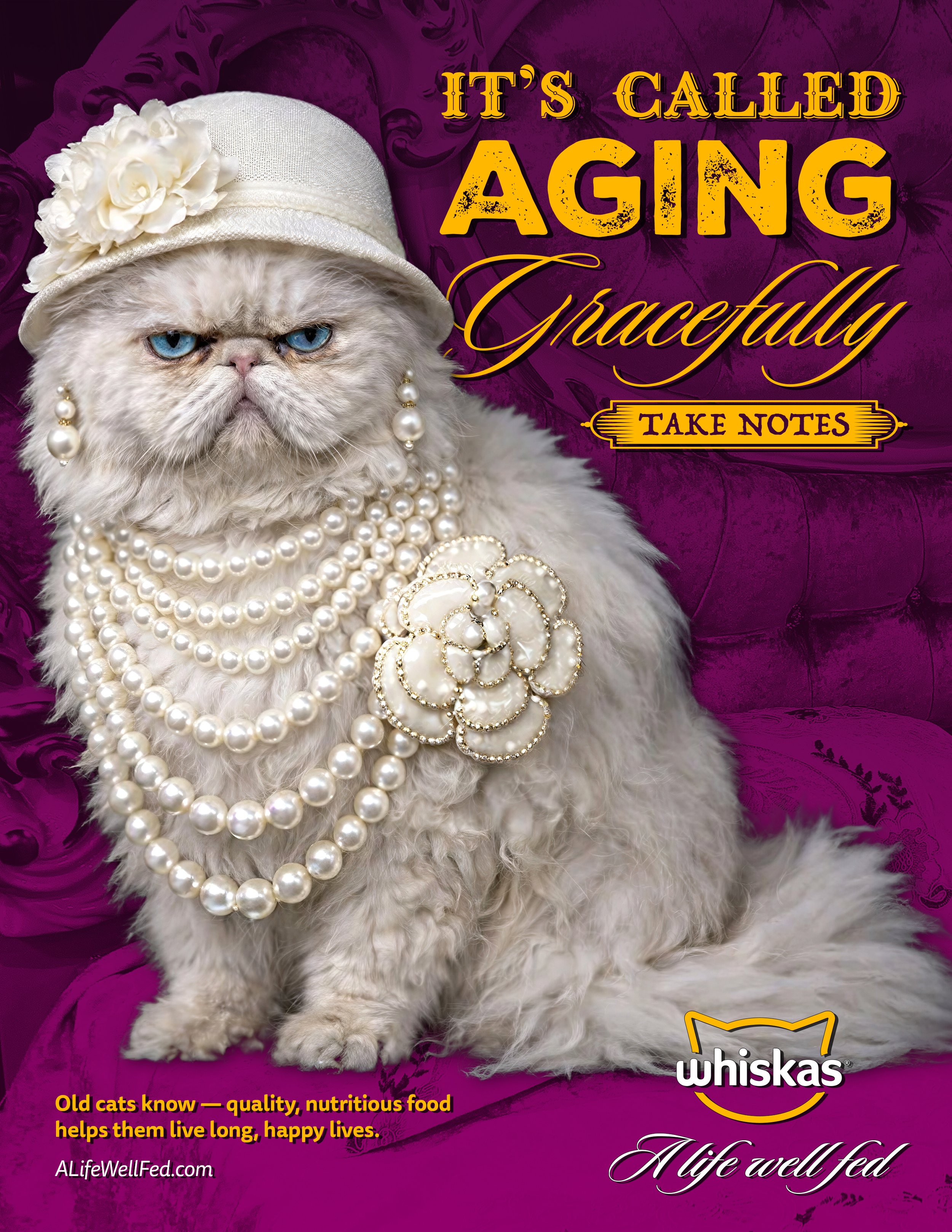 Whiskas_Print_AgingGracefully_Mix_V4.jpg