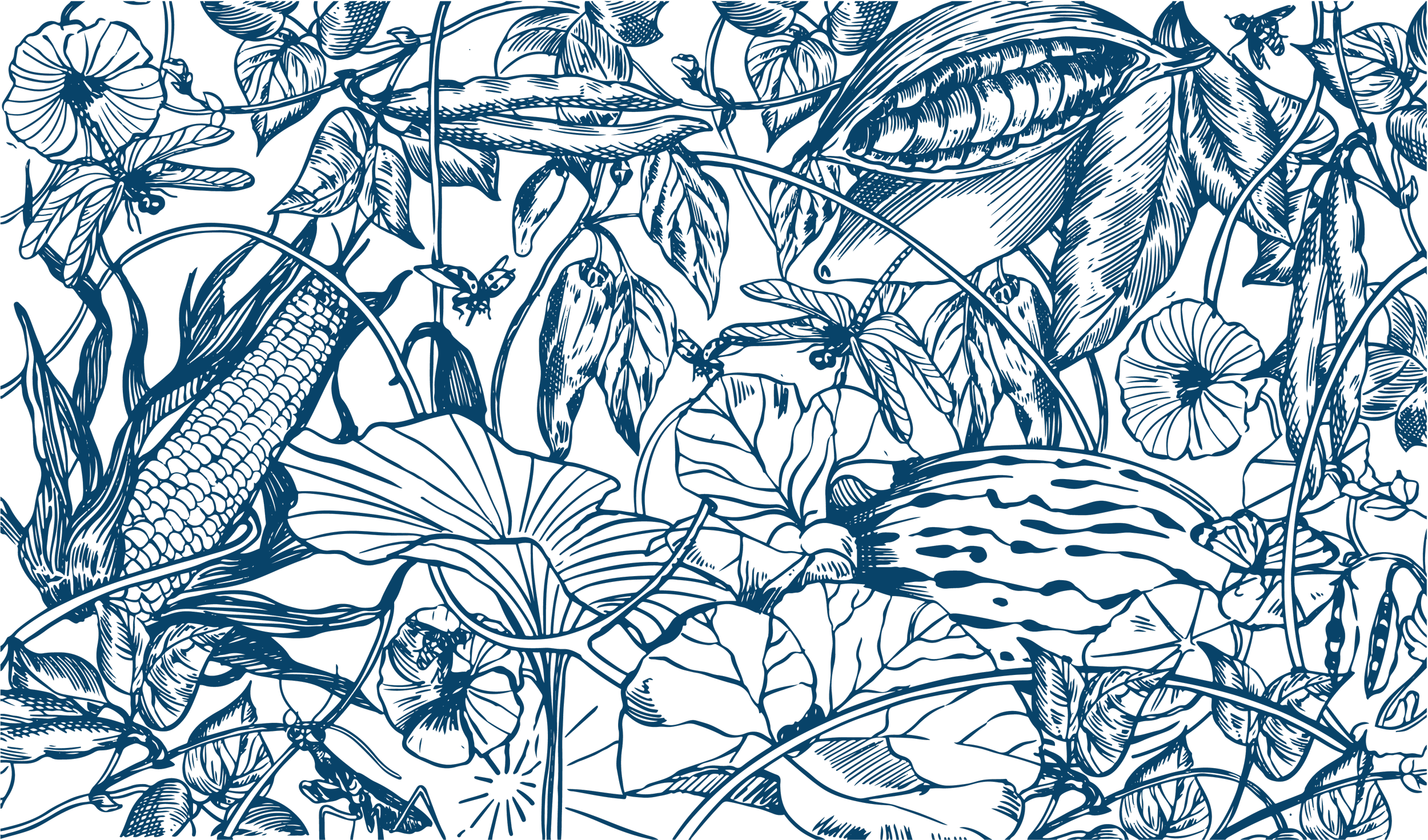 Outline illustration of various jungle plants and animals in blue on black background, including insects, leaves, flowers, and reptiles.
