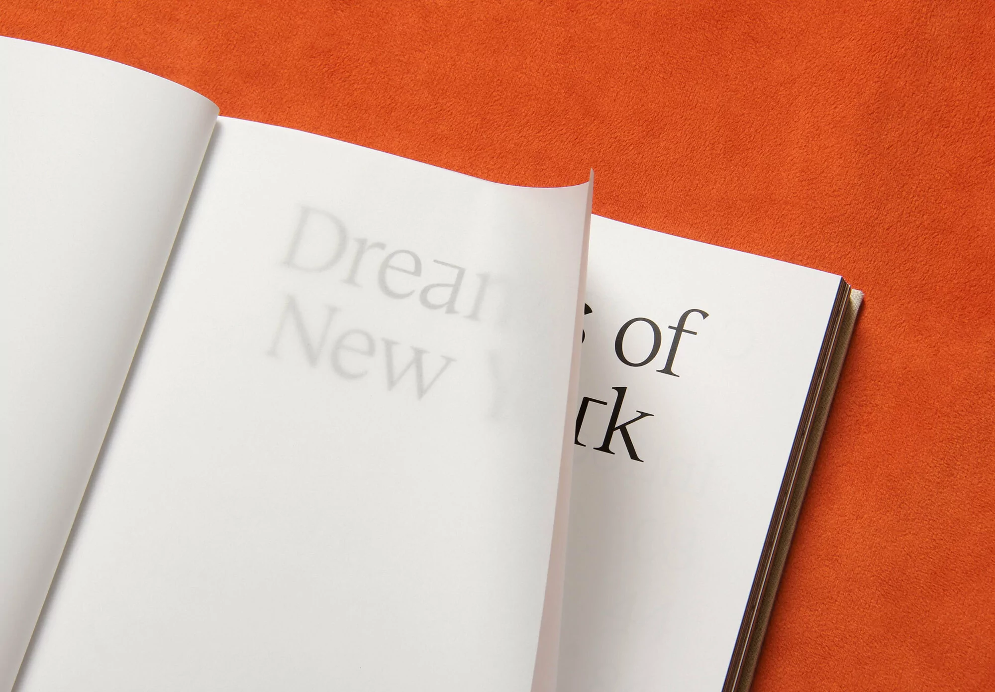 ForthandBackStudio_DreamsofNewYork_021-bc9e4.png