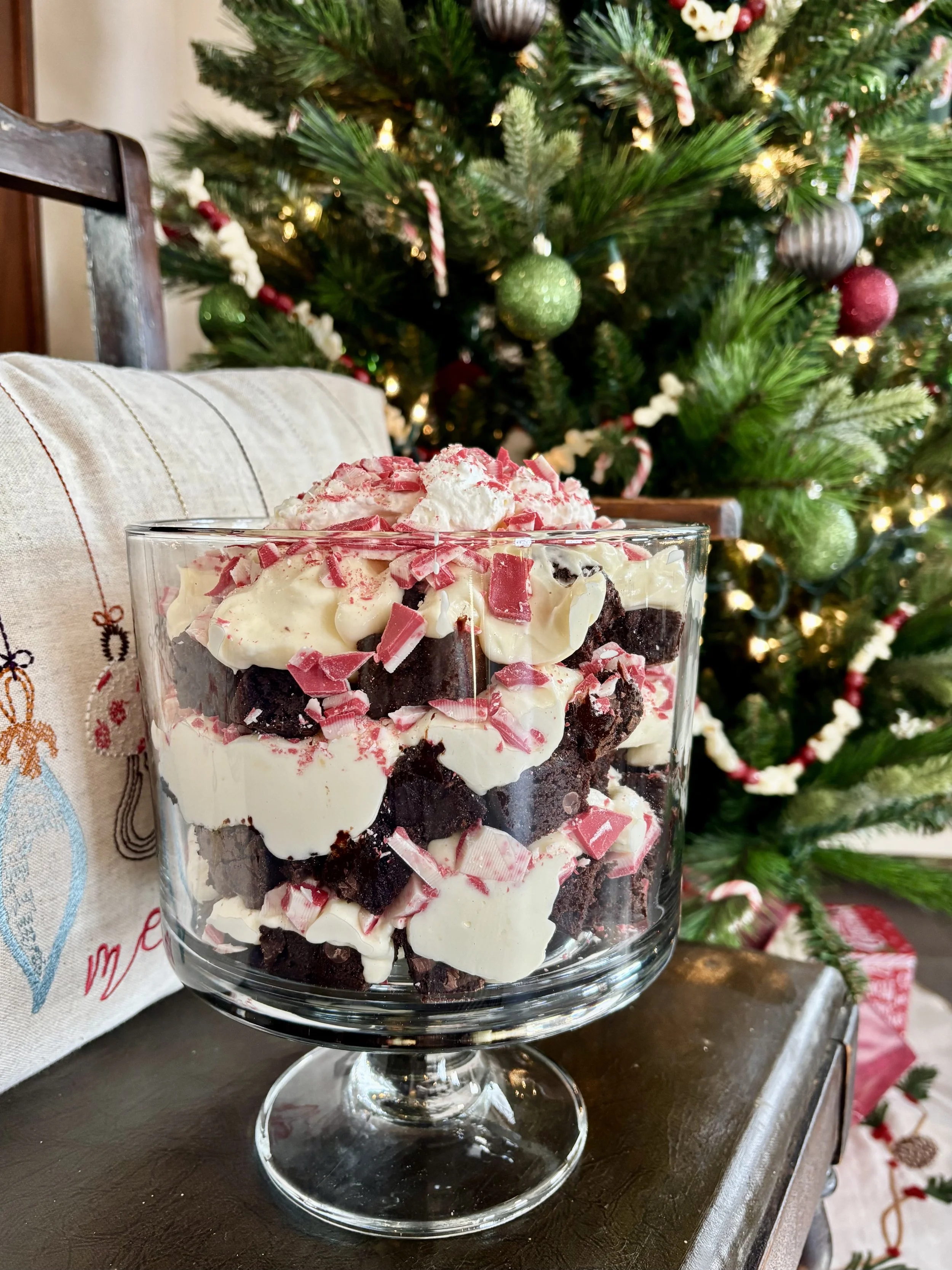 Chocolate peppermint trifle for the painting class.  2025