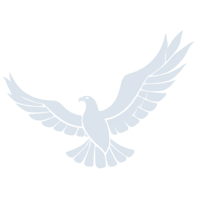 Light blue eagle with its wings spread