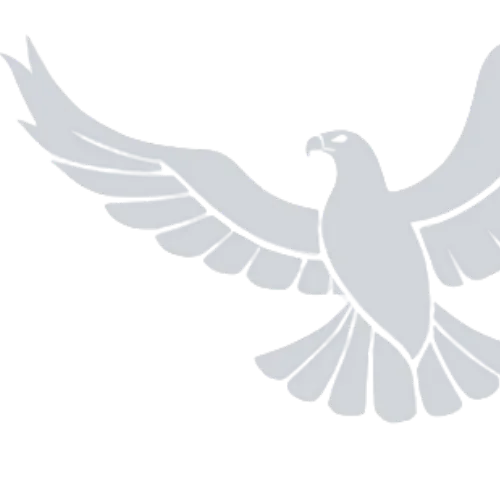 A white eagle with outstretched wings against a black background.