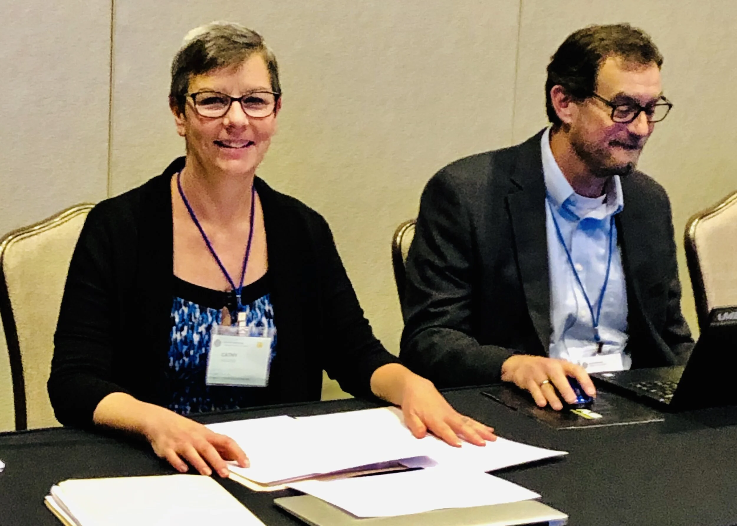 DCS and the Industry—DCS’ Cathy Higgins Chairs ASTM Section on Pigments for Integrally Colored Concrete