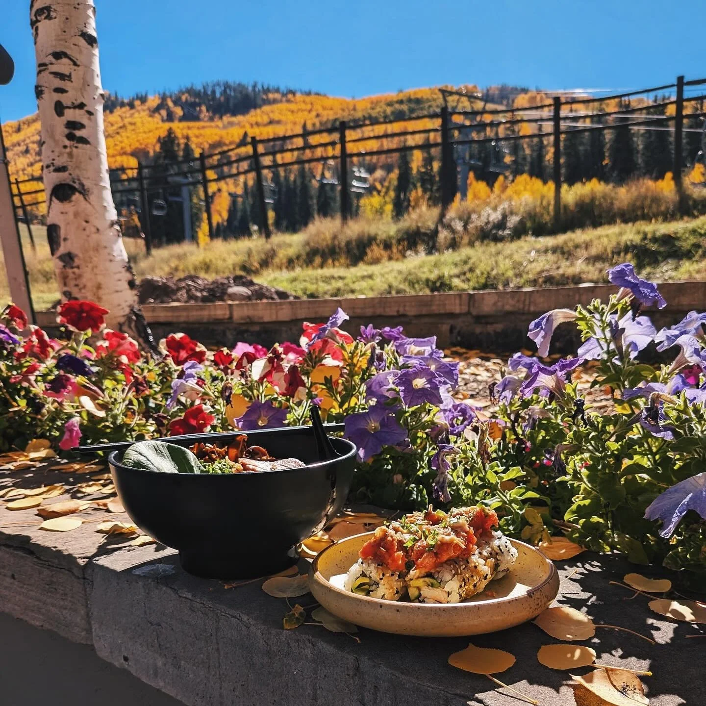 a bowl of ramen, some sushi, &amp; these views on the best patio in town? can&rsquo;t beat it. ✨🍁🍂