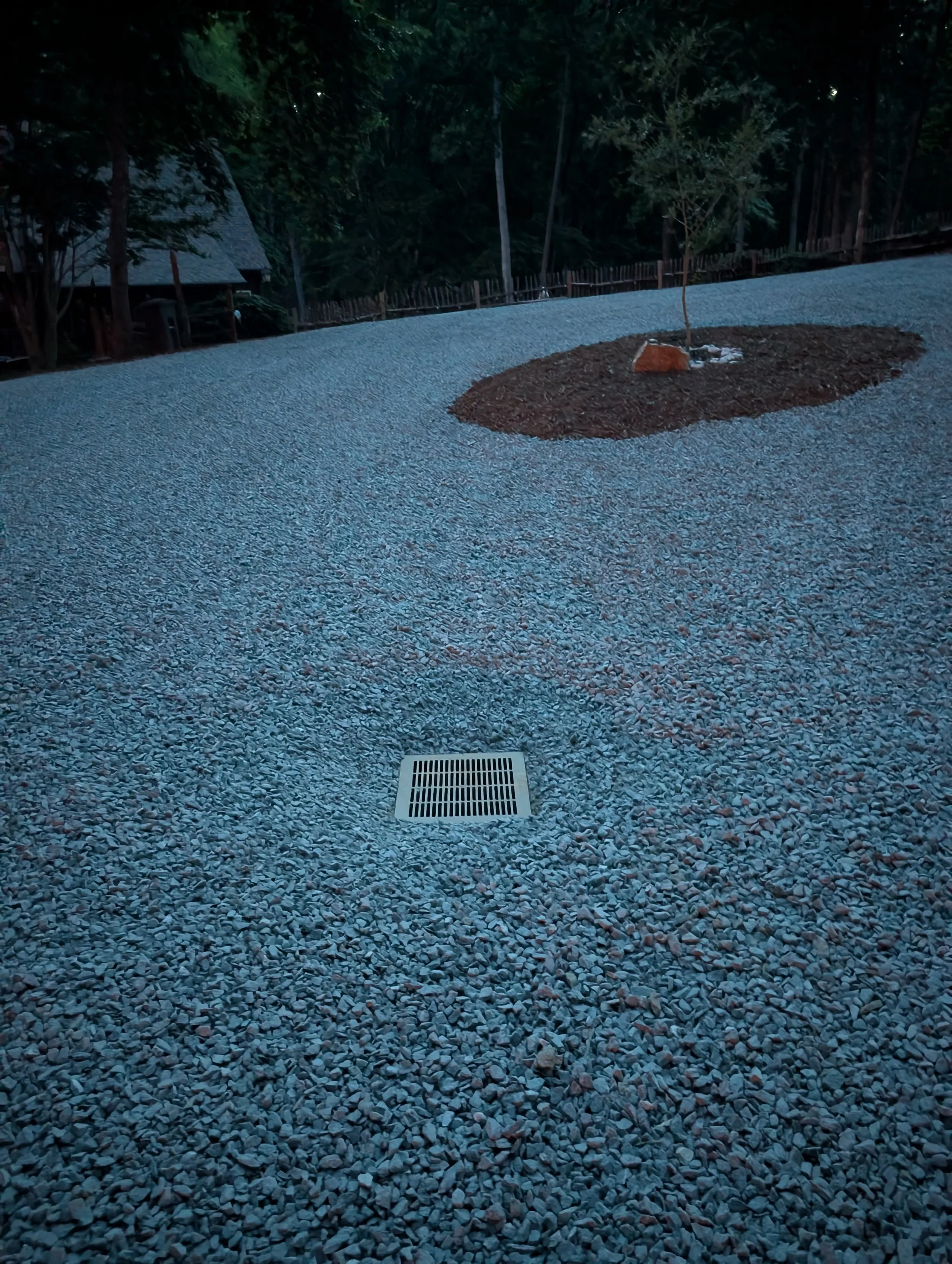 A gravel path with a drainage grate in the center, a small tree planted in a mulched area, surrounded by wooded landscape at dusk.