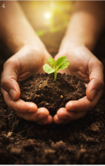 Passion Can’t Be Forced, But It Can Be Unearthed