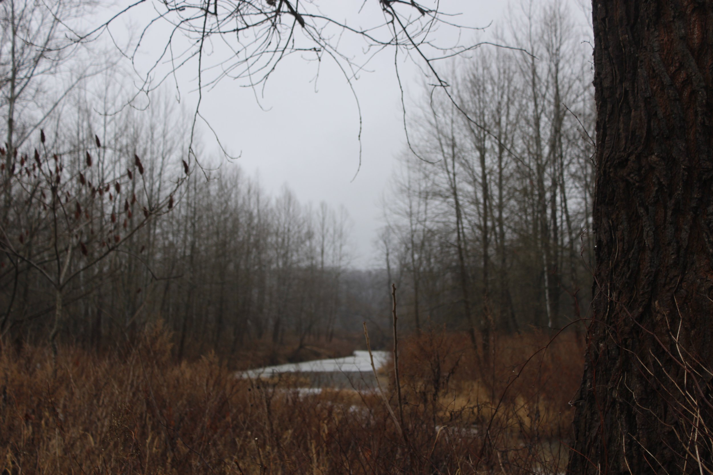 Landscape Photography