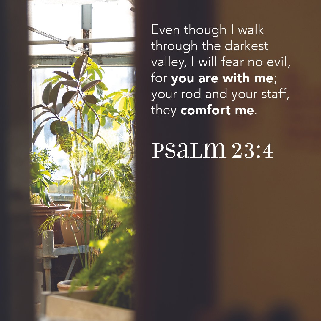 Sunday Scripture Post 2025:01:05.jpg