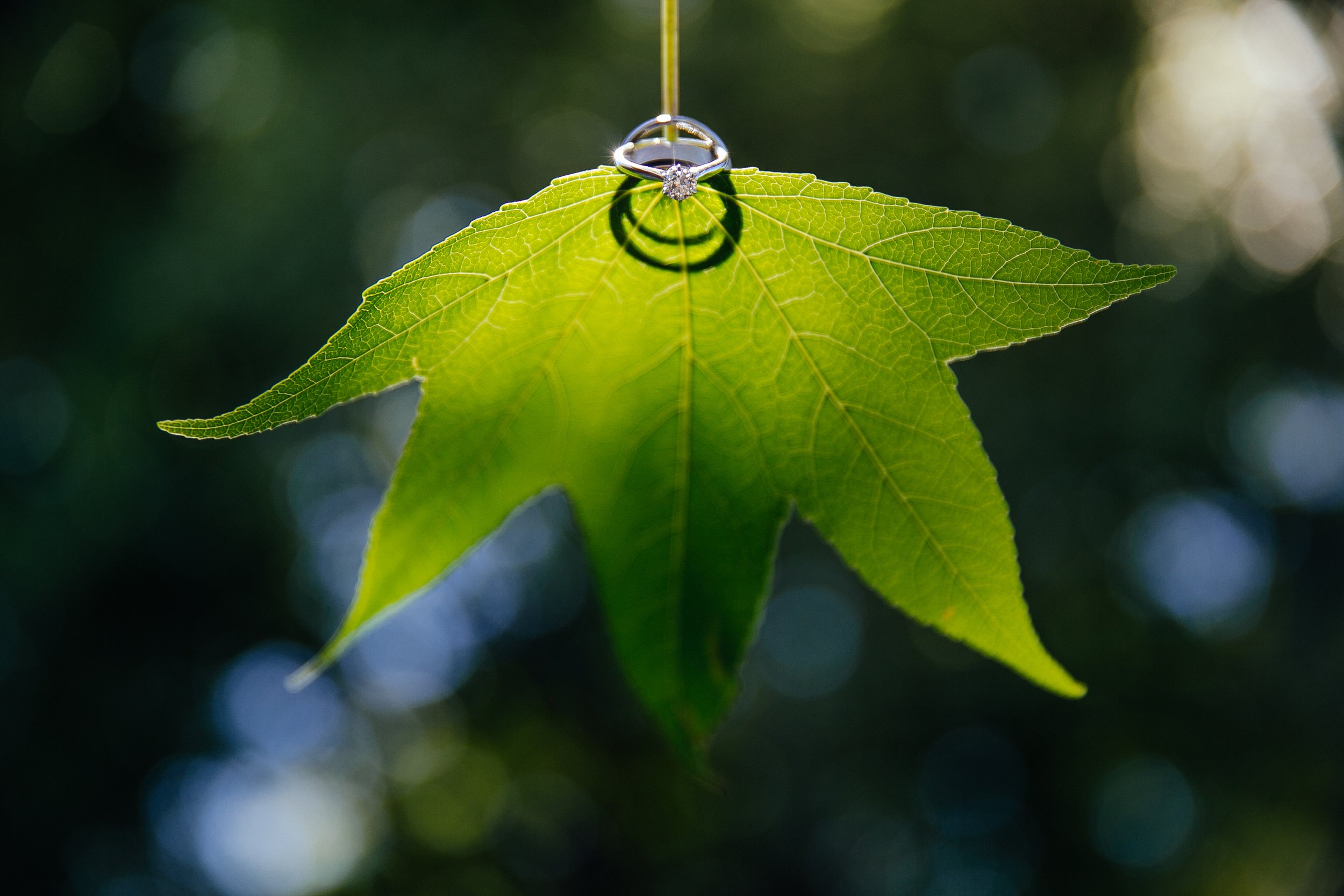 Arby Getting Ready 129.JPG