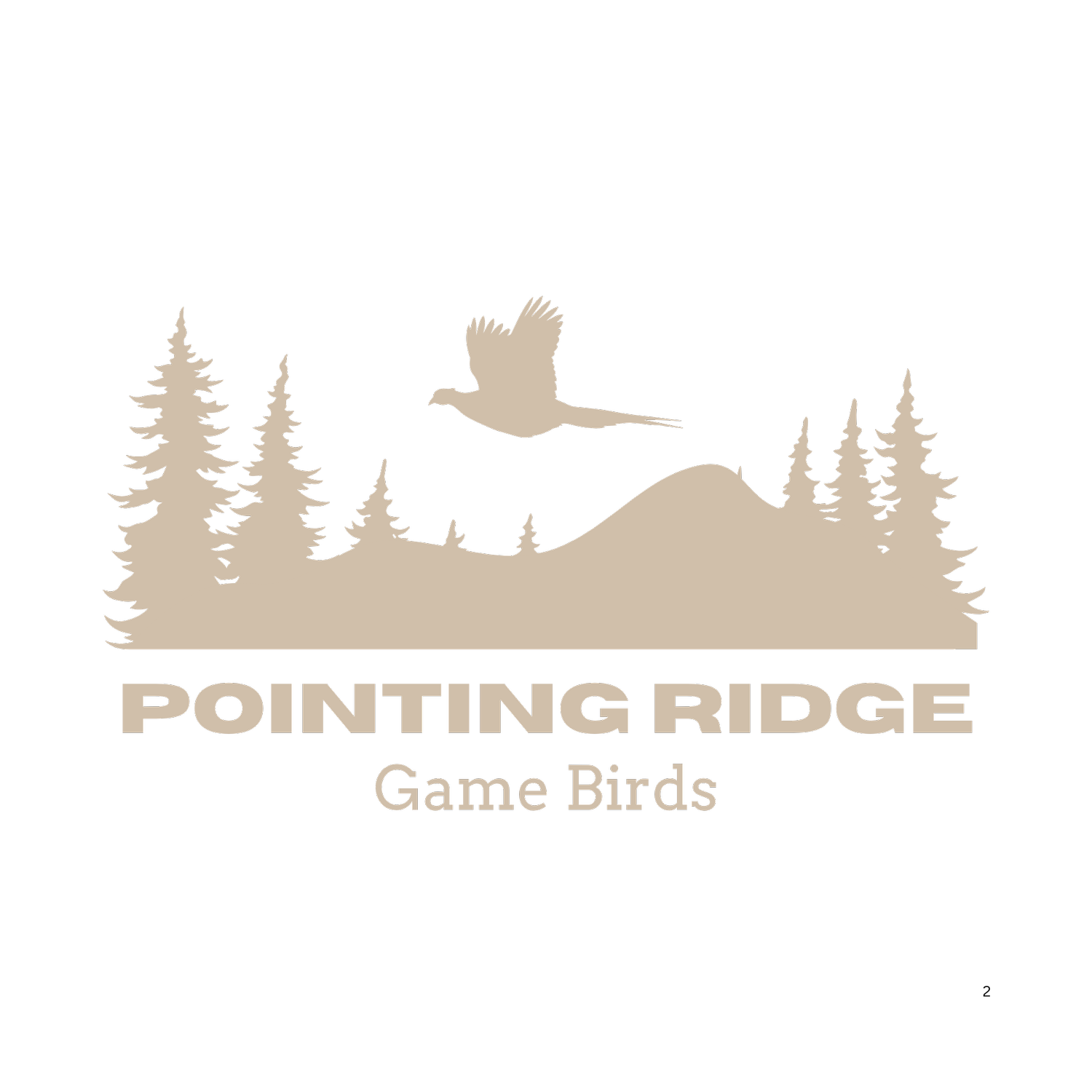 Pointing Ridge Game Birds &amp; Gun Dogs