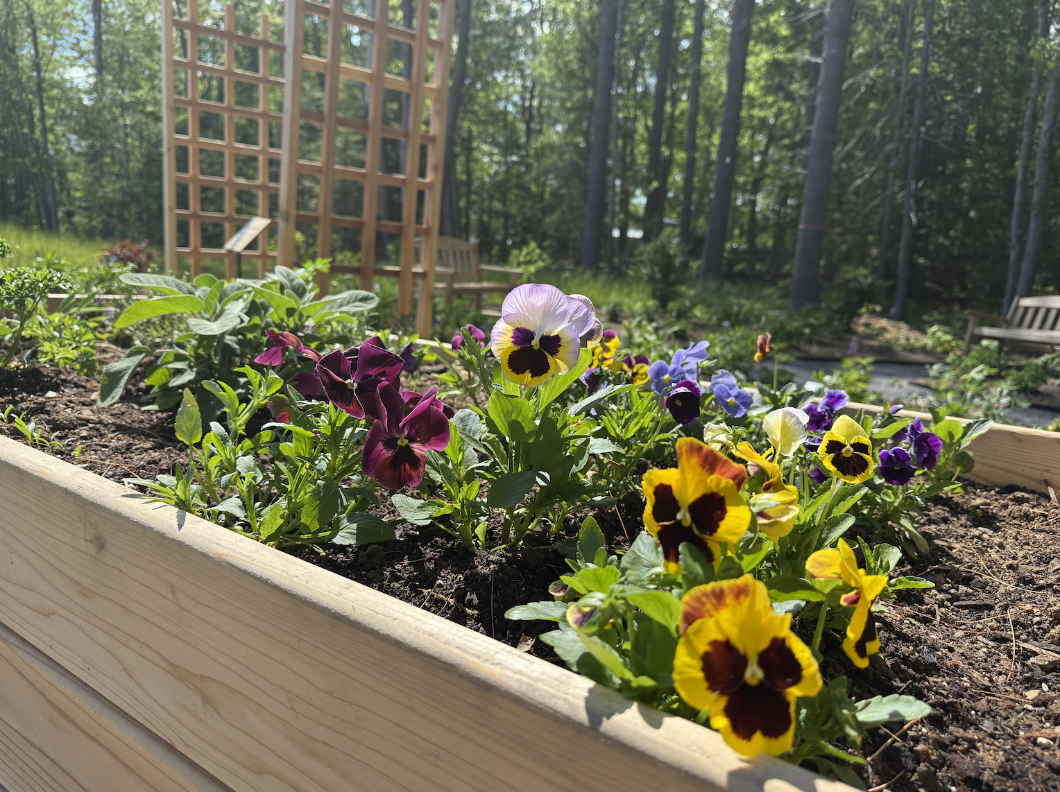Tedford Housing Enlists Nature to Get More People Into Housing