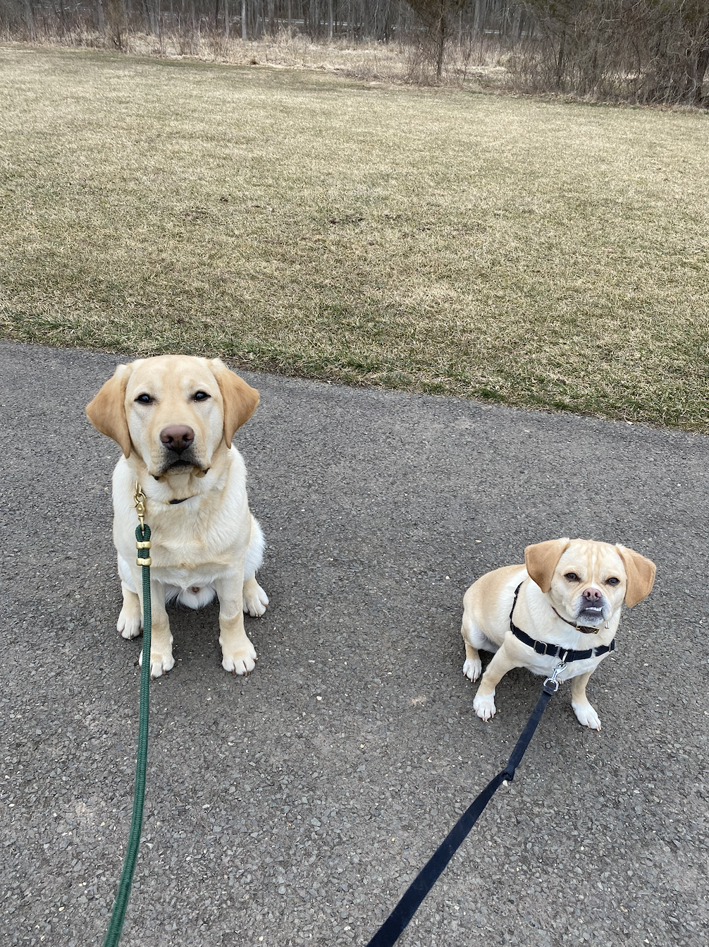 Screenshot 2025-11-07 at 2.48.00 PM.png