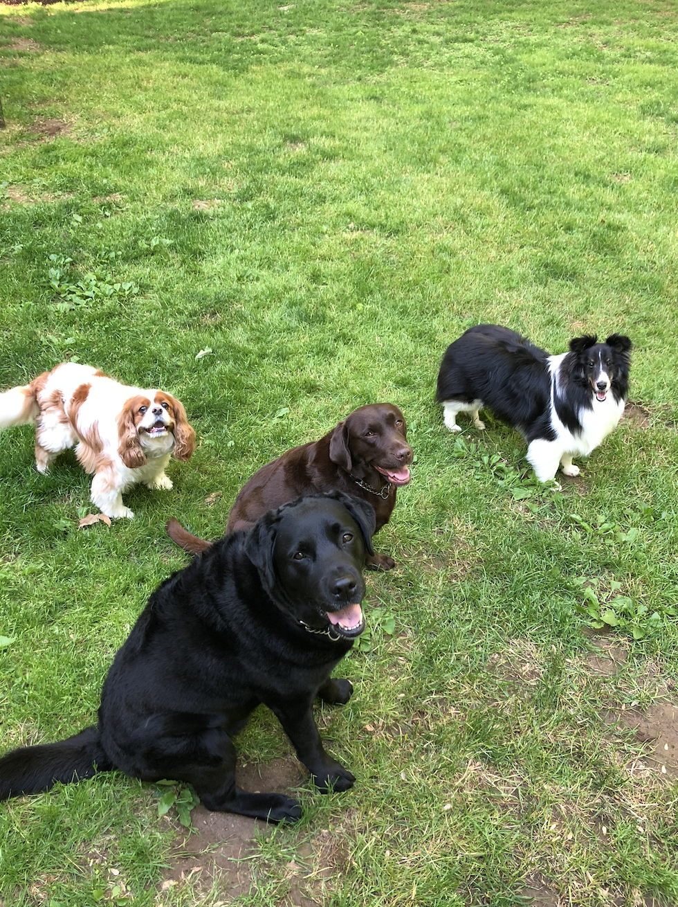 Screenshot 2025-11-07 at 2.50.59 PM.png