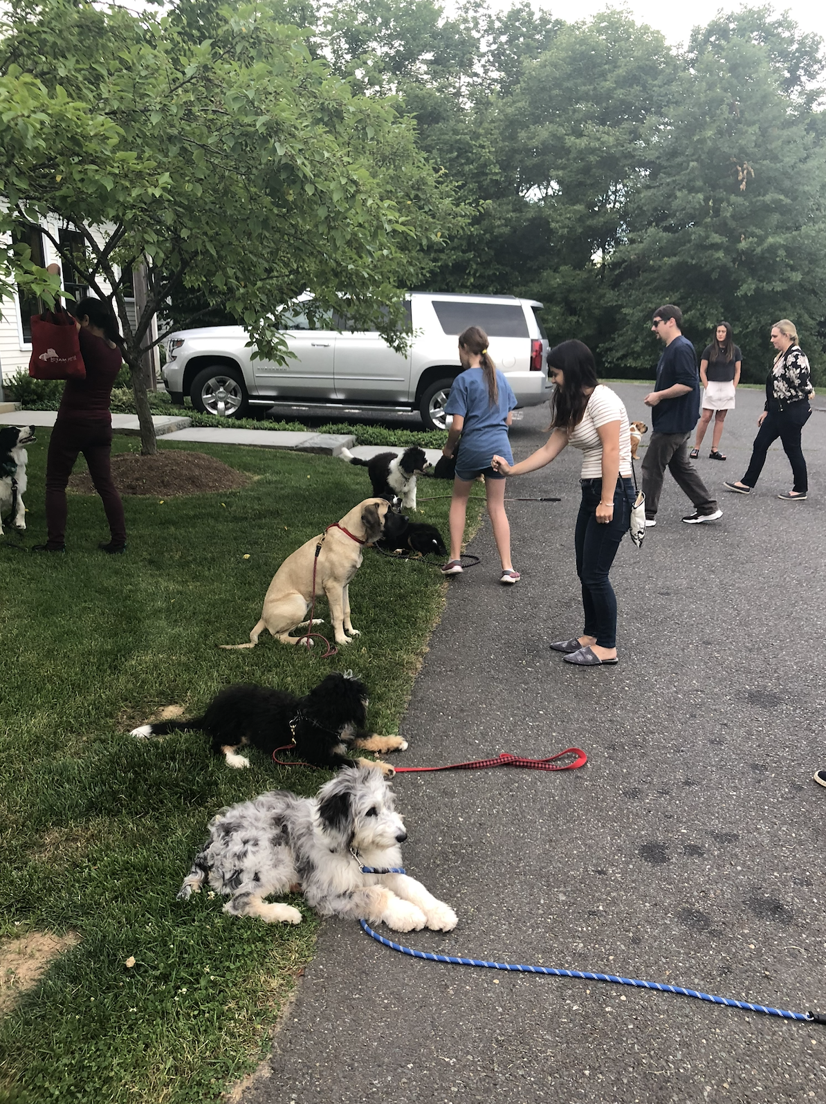 Screenshot 2025-11-07 at 2.51.06 PM.png