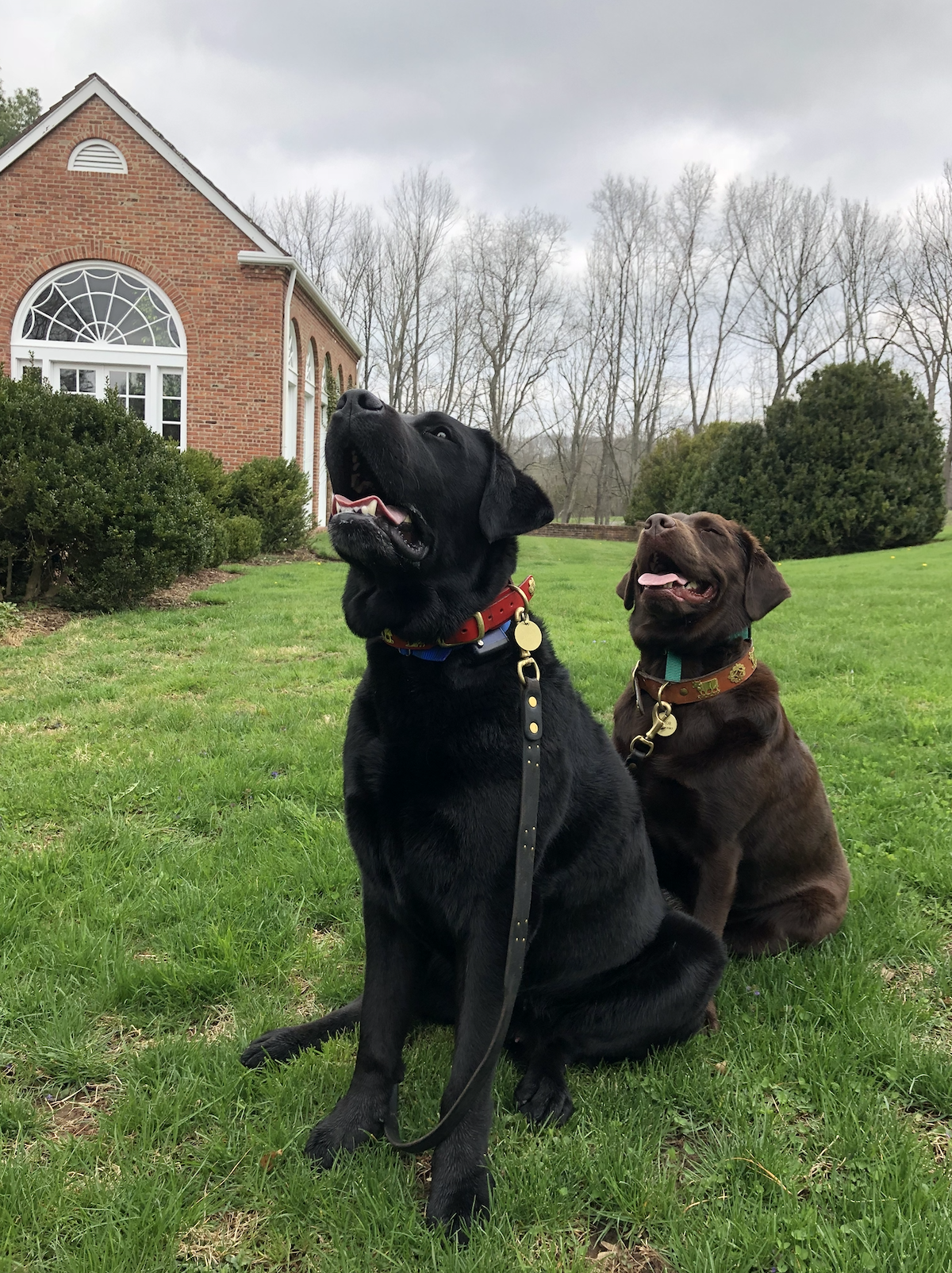 Screenshot 2025-11-07 at 2.47.33 PM.png