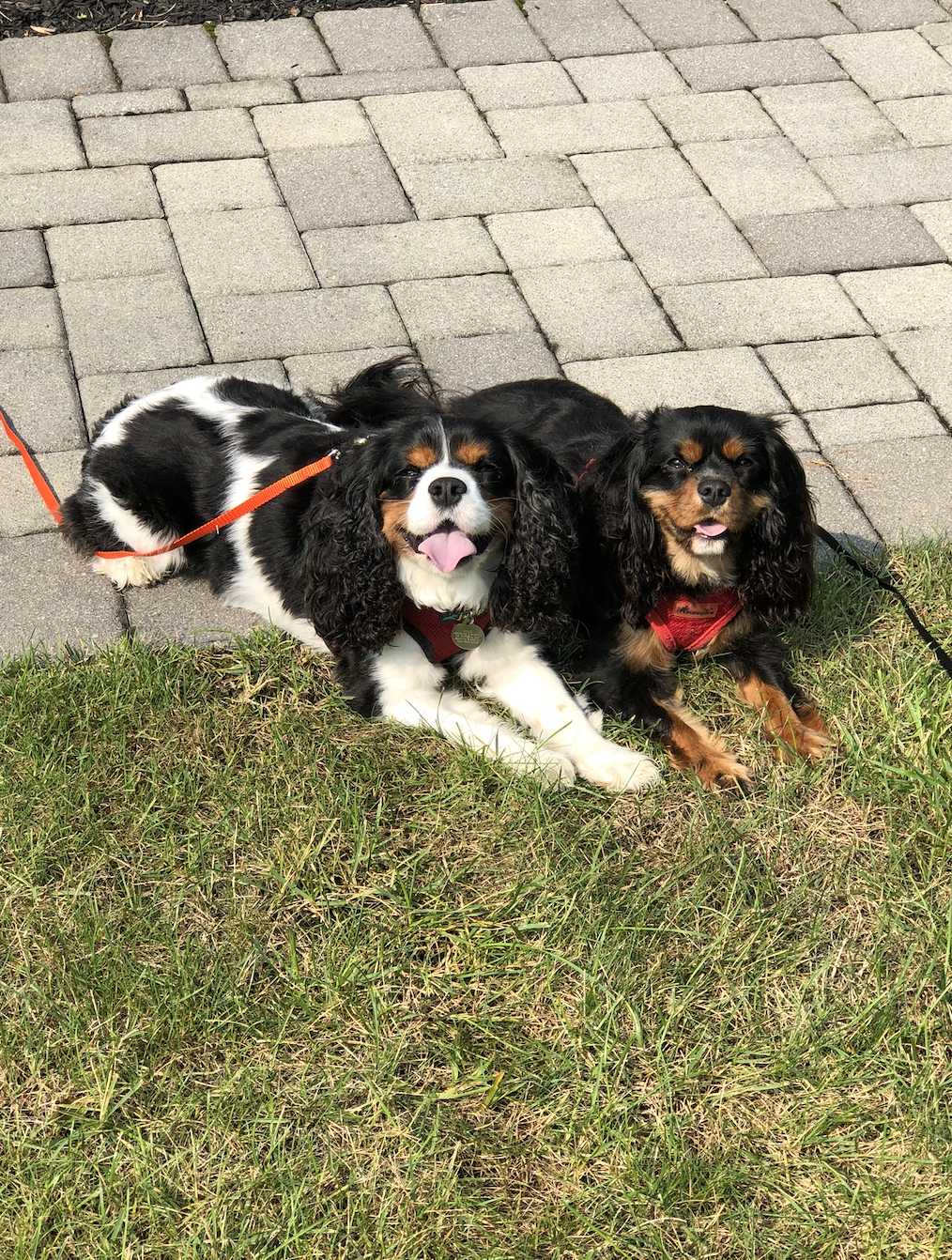 Screenshot 2025-11-07 at 2.49.23 PM.png