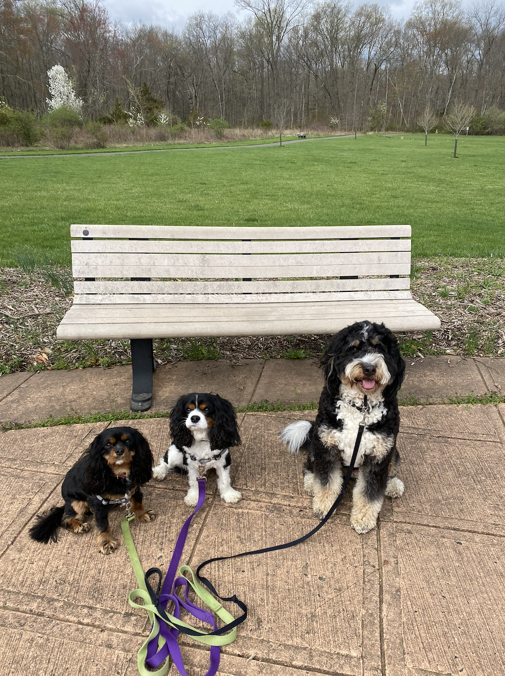 Screenshot 2025-11-07 at 2.48.21 PM.png