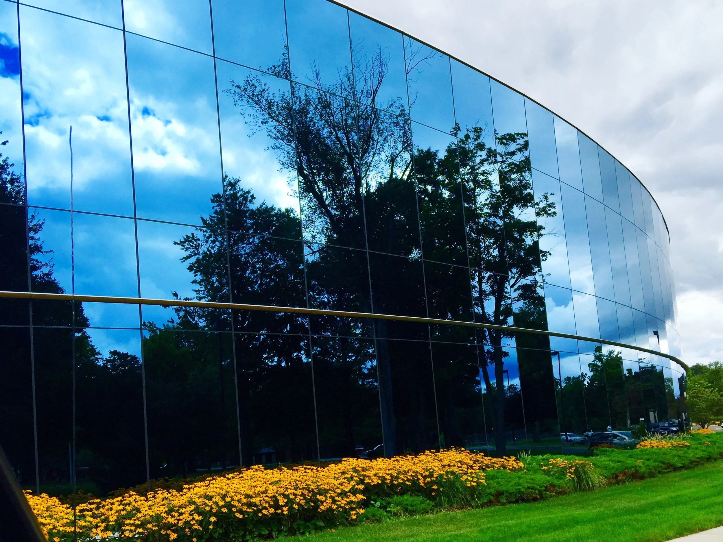 reflection-trees-modern-building-glass.jpg