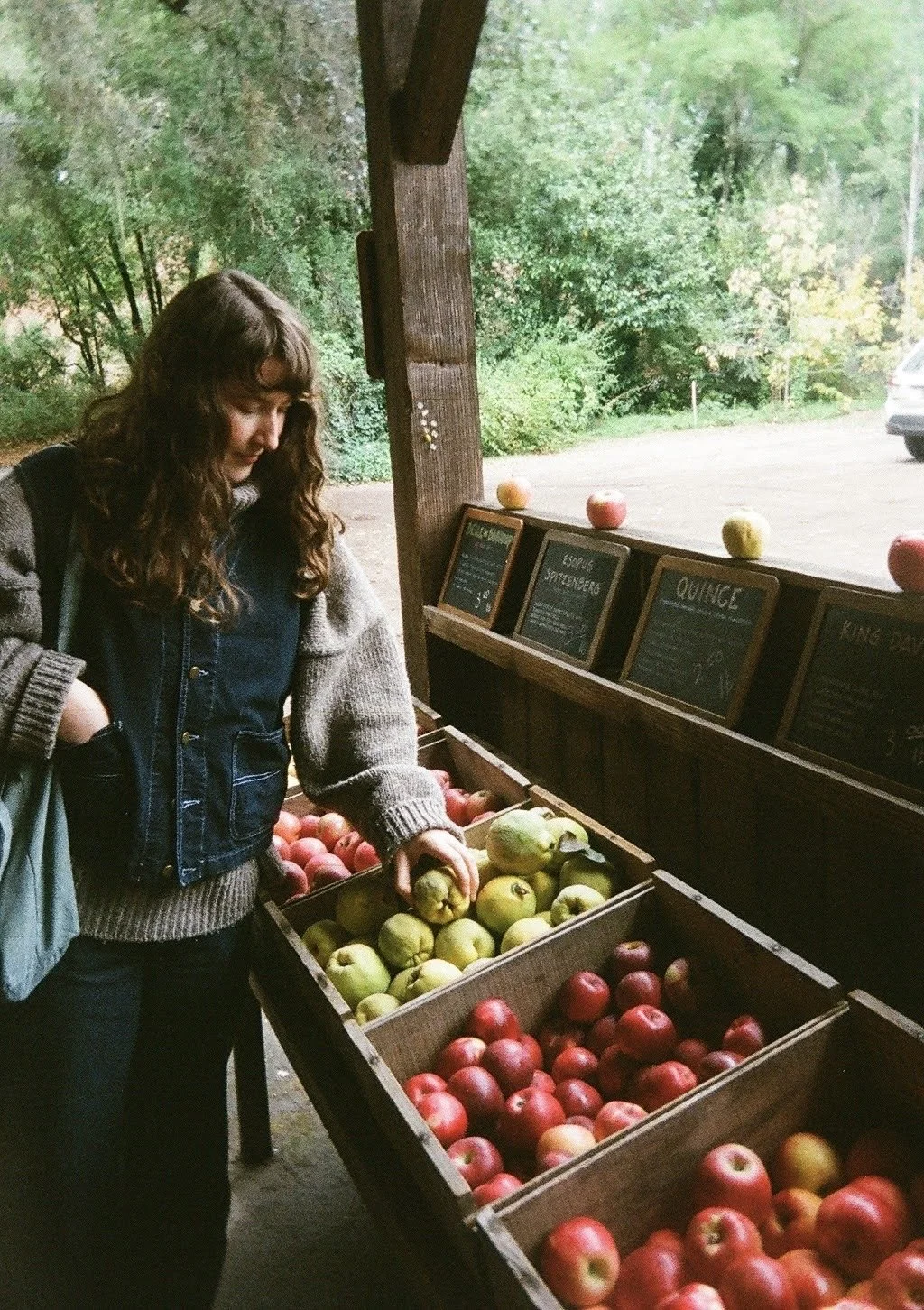 A woman browsing apples at an outdoor market stand with chalkboard signs, trees, and a car in the background.
