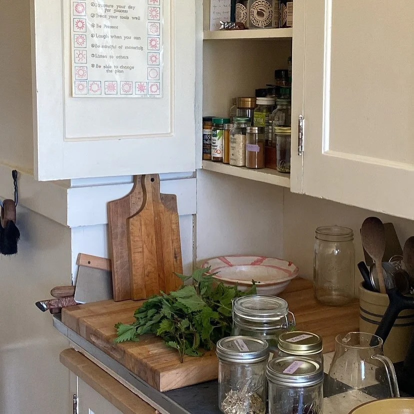 nourishment round-up: evening walks collecting berries for breakfast, every color of herbal tea infusions including a divine digestion support tea from @mammalherbs, dry grass and herby bean salad, a cheeky recreation of my favorite breakfast burrito