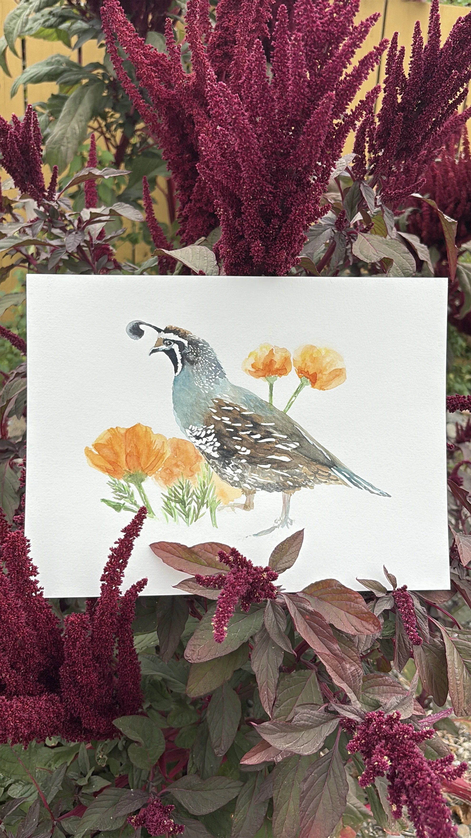 CALIFORNIA State Bird + Flower (Print)