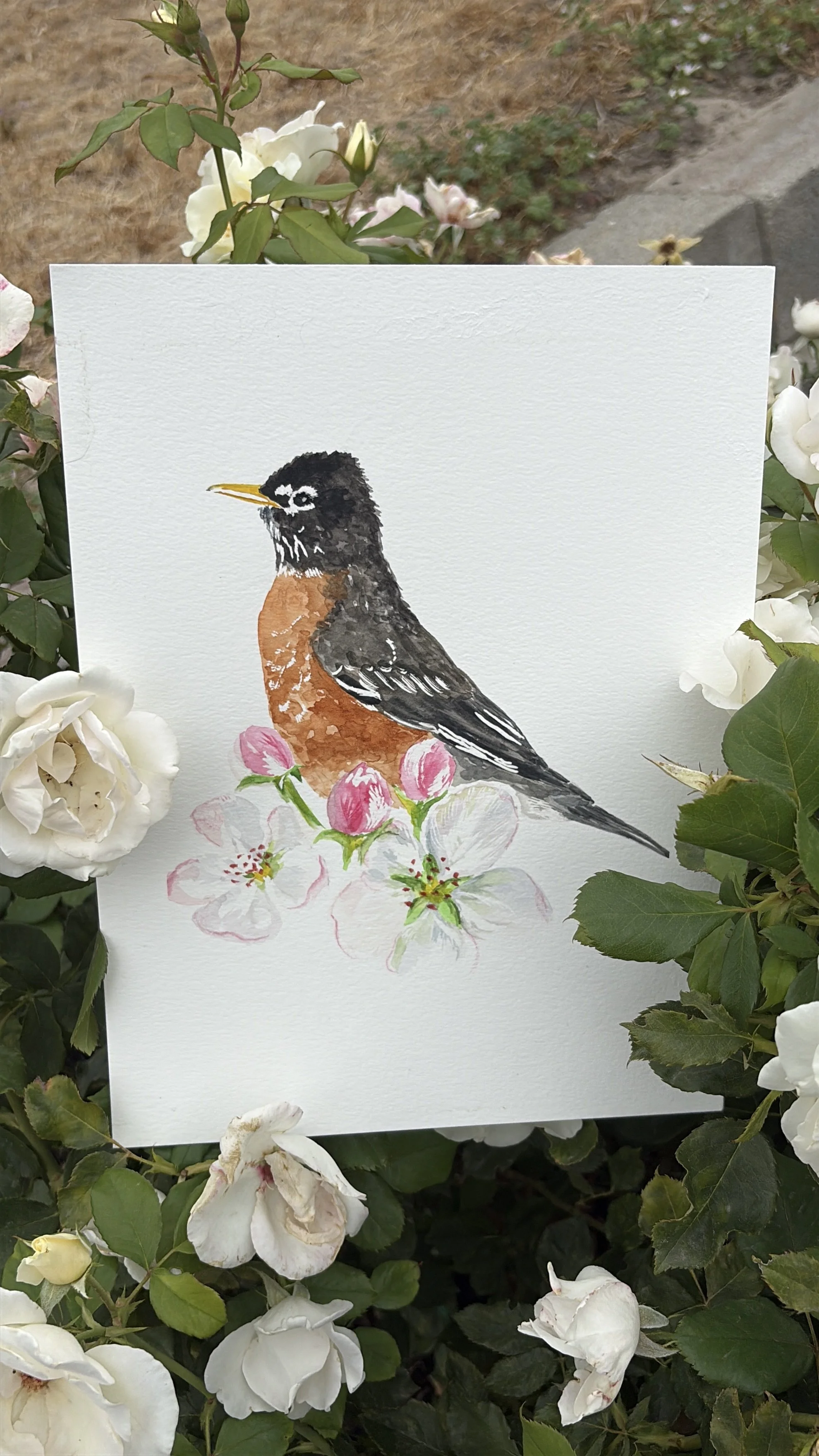 MICHIGAN State Bird + Flower (Print)