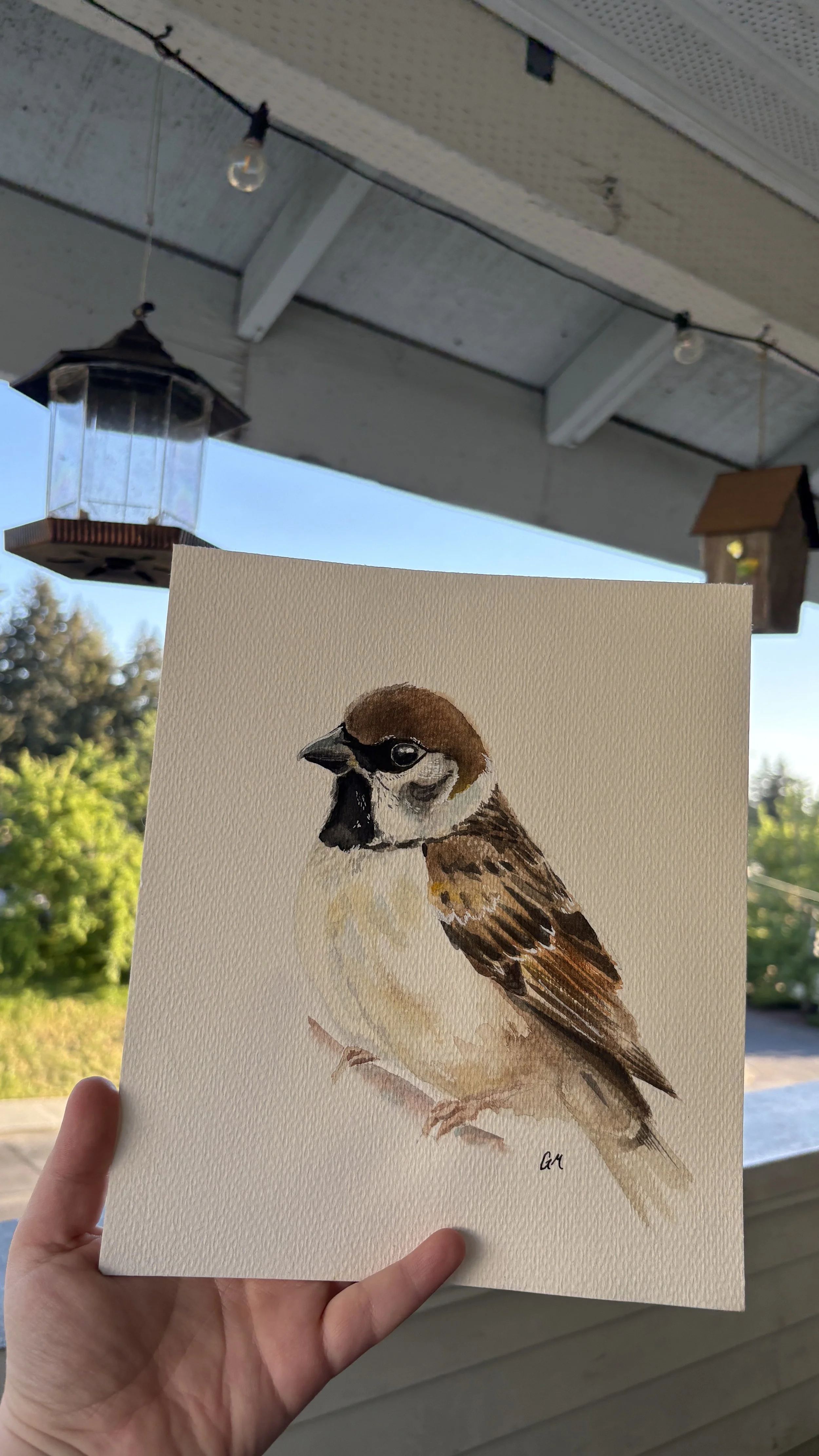 Sparrow (Print)