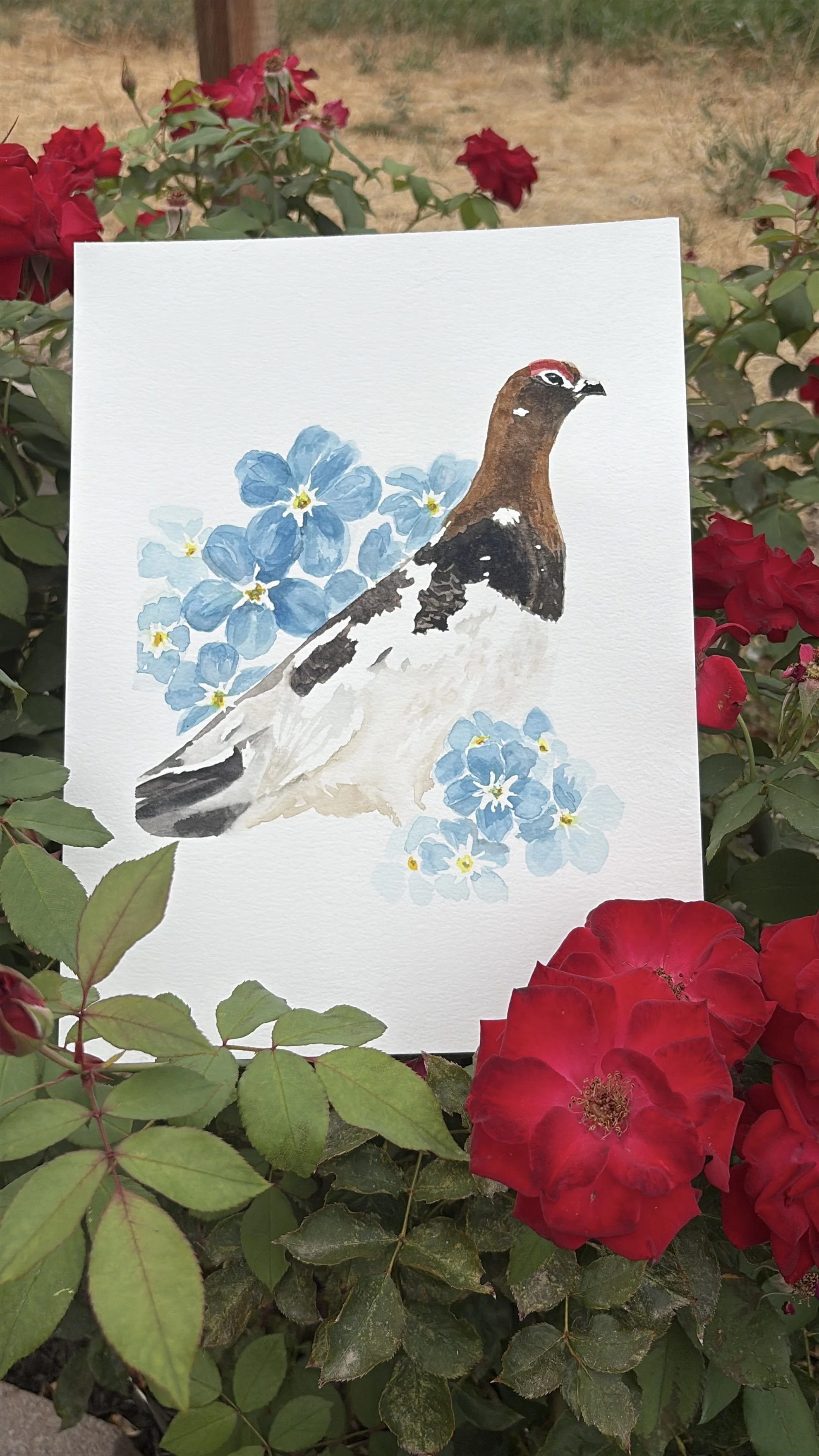 ALASKA State Bird + Flower (Print)
