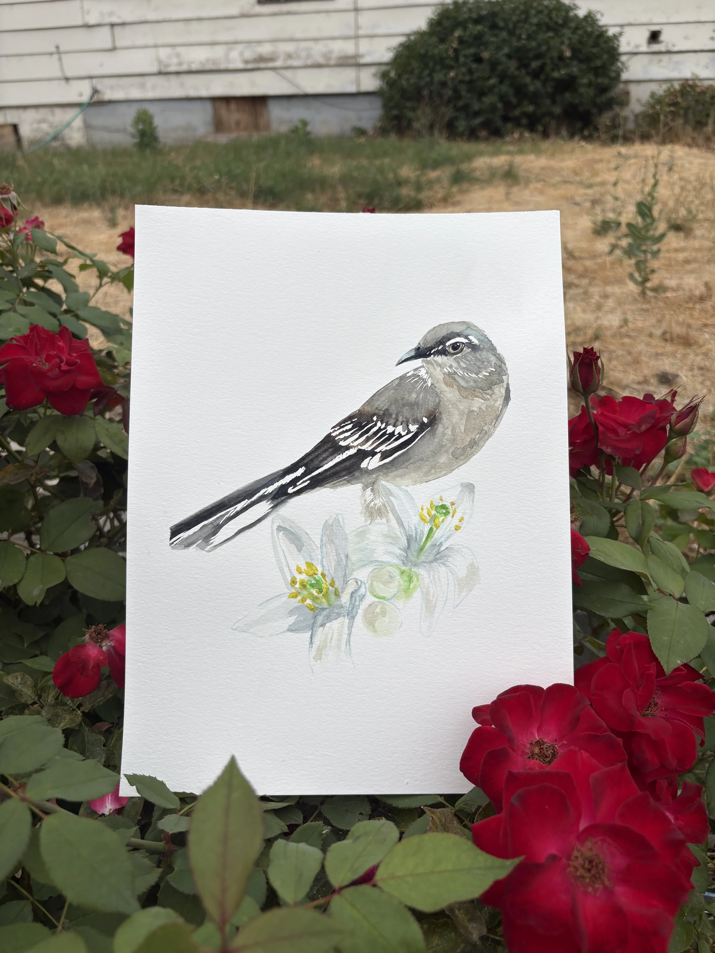 FLORIDA State Bird + Flower (Print)