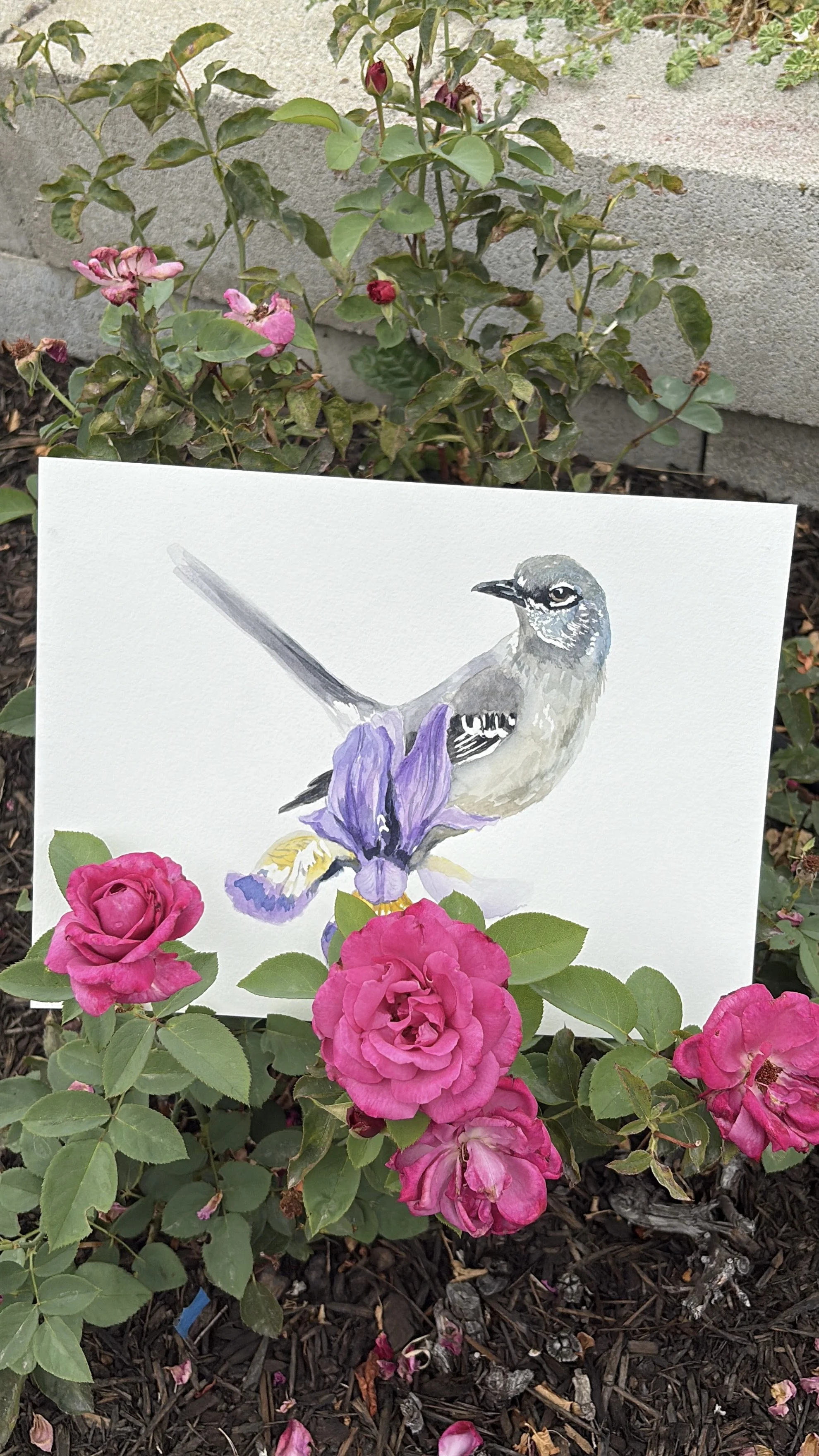 TENNESSEE State Bird + Flower (Print)