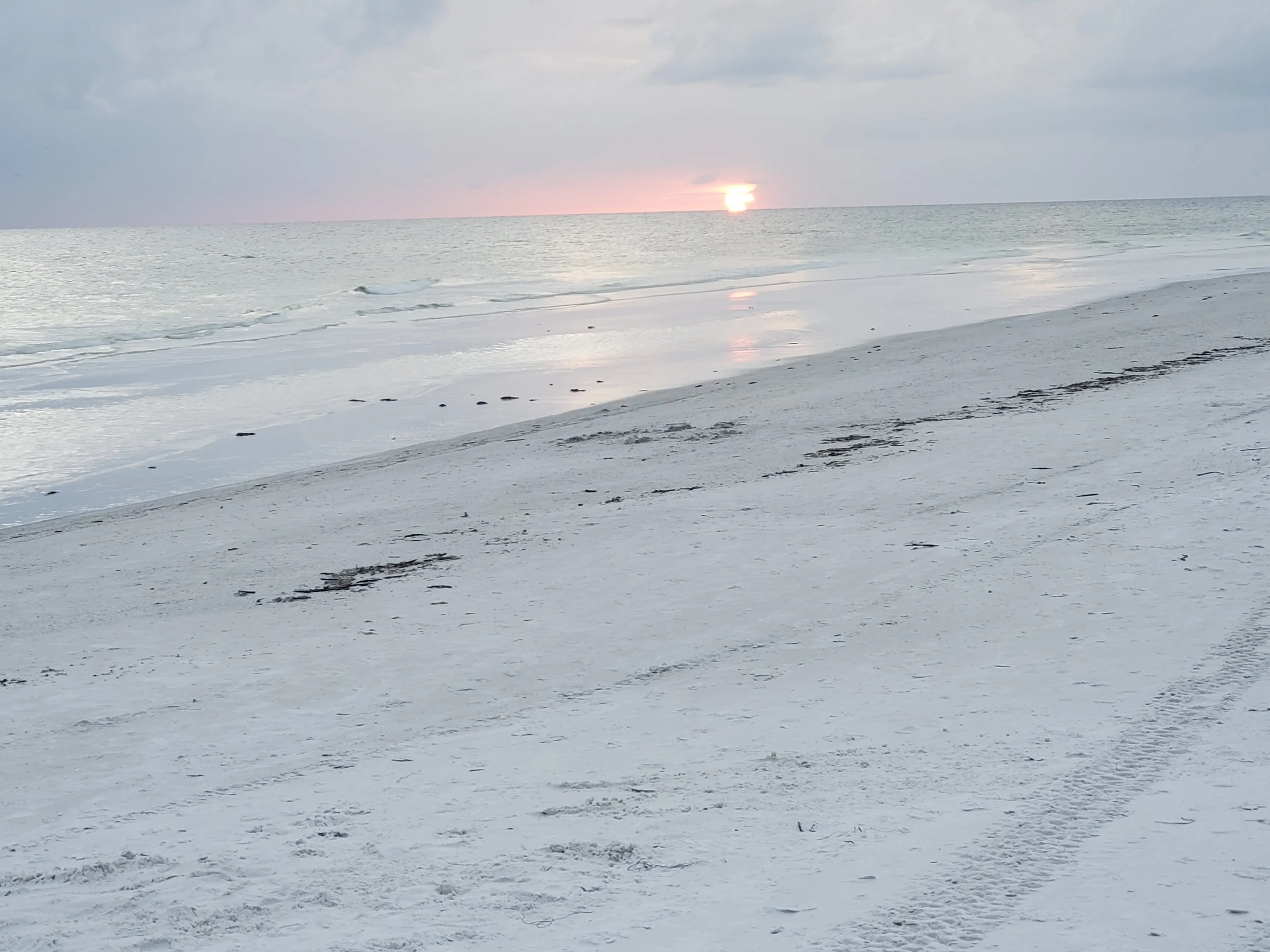 Grief to Joy Retreat with the Nature Codes–Led by Kellye Thunder Davis