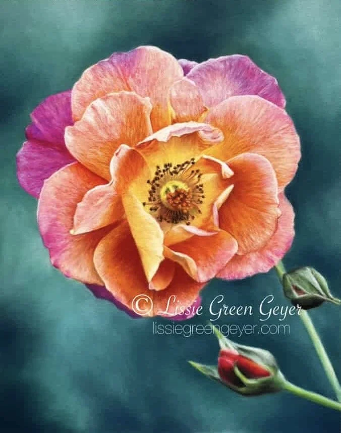 eZy Watermark_29-11-2024_08-18-28-6980PM-compressed.jpeg