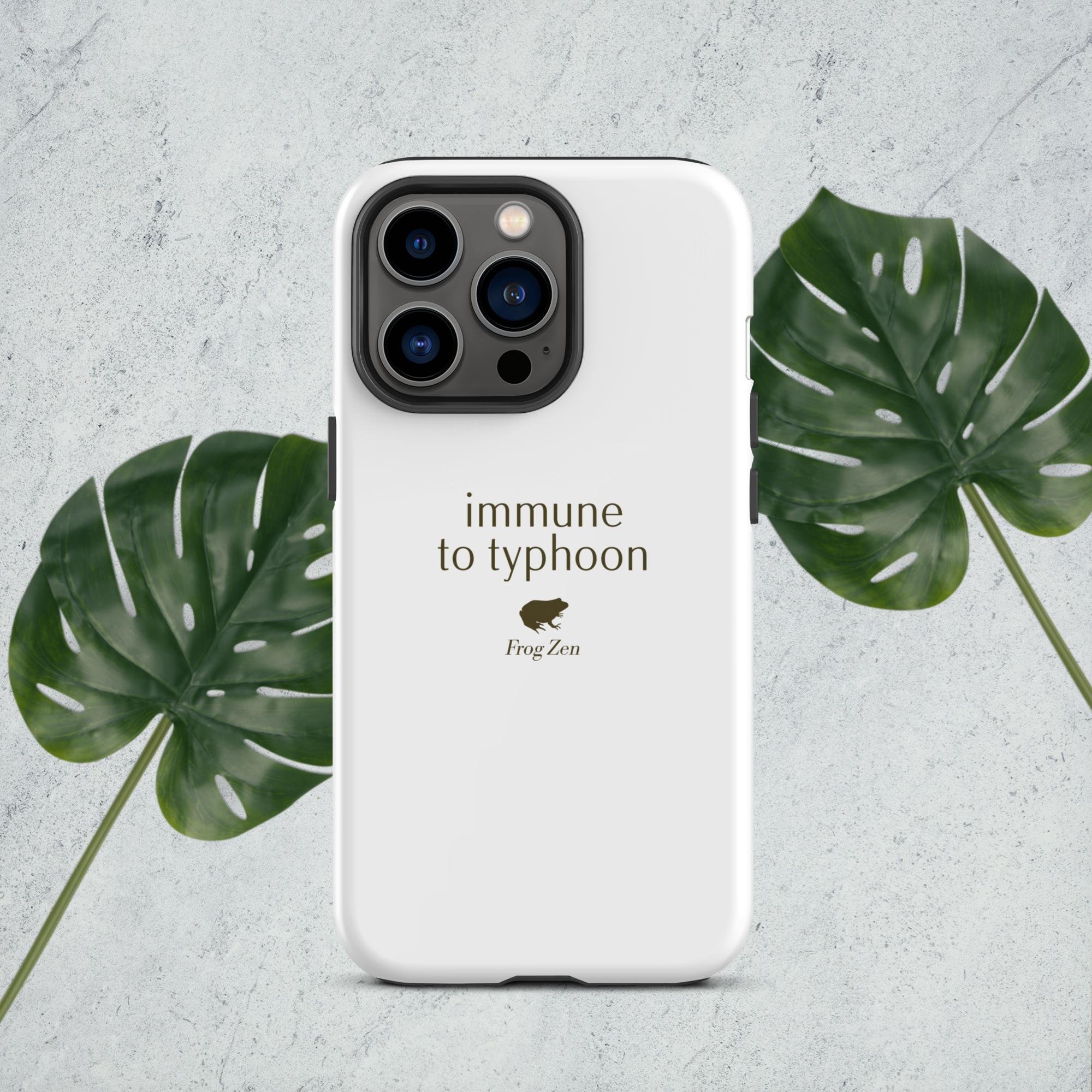 tough-case-for-iphone-matte-iphone-13-pro-front-680fcb7dba6f6.jpg