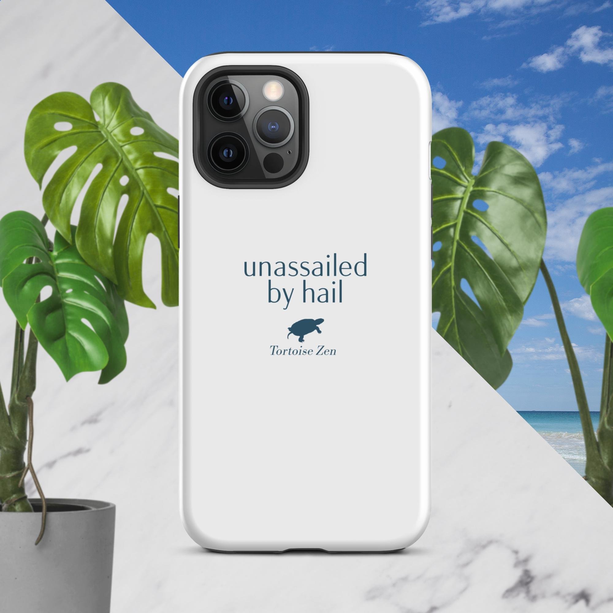 tough-case-for-iphone-matte-iphone-12-pro-max-front-681005aba313f.jpg