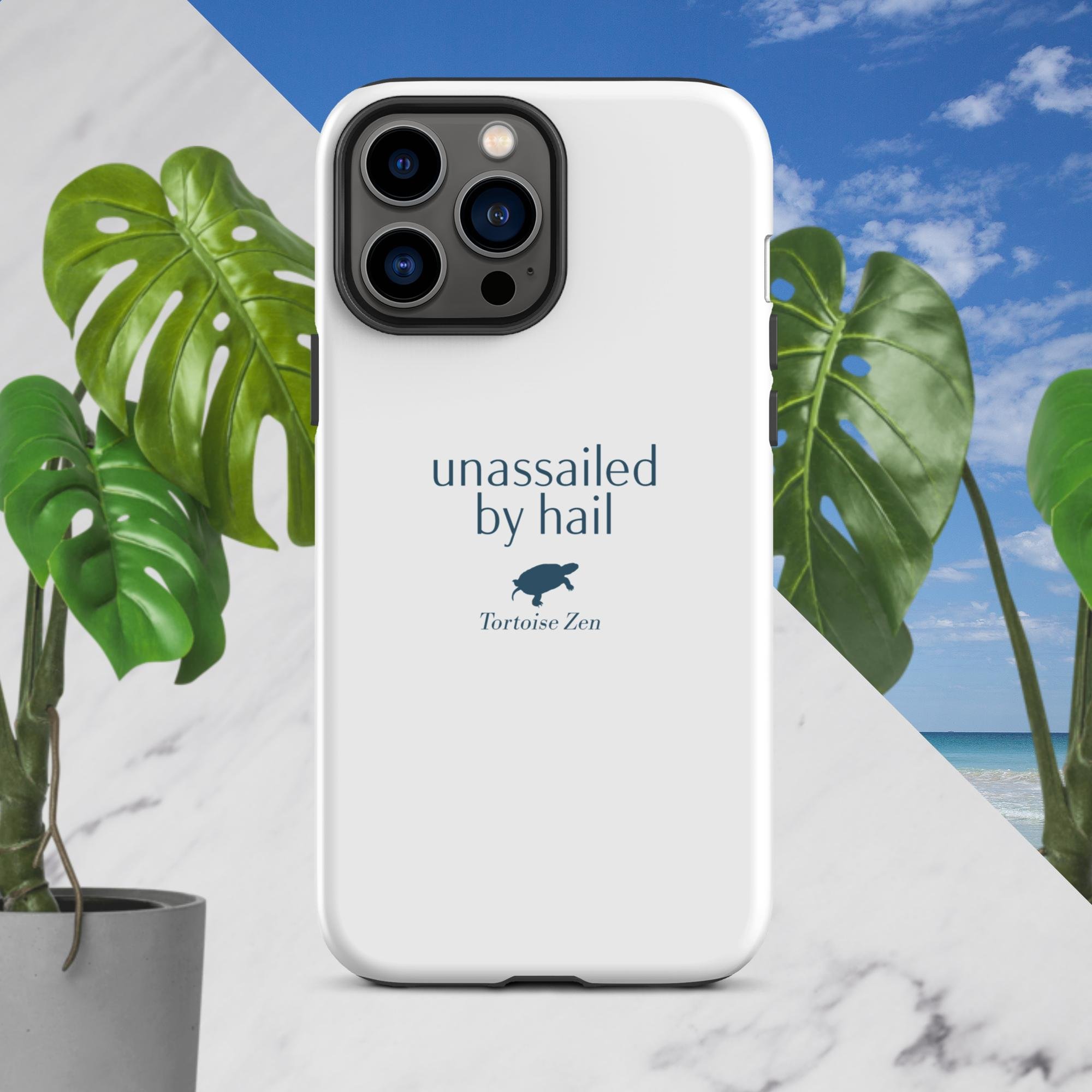 tough-case-for-iphone-matte-iphone-13-pro-max-front-681005abae1ed.jpg