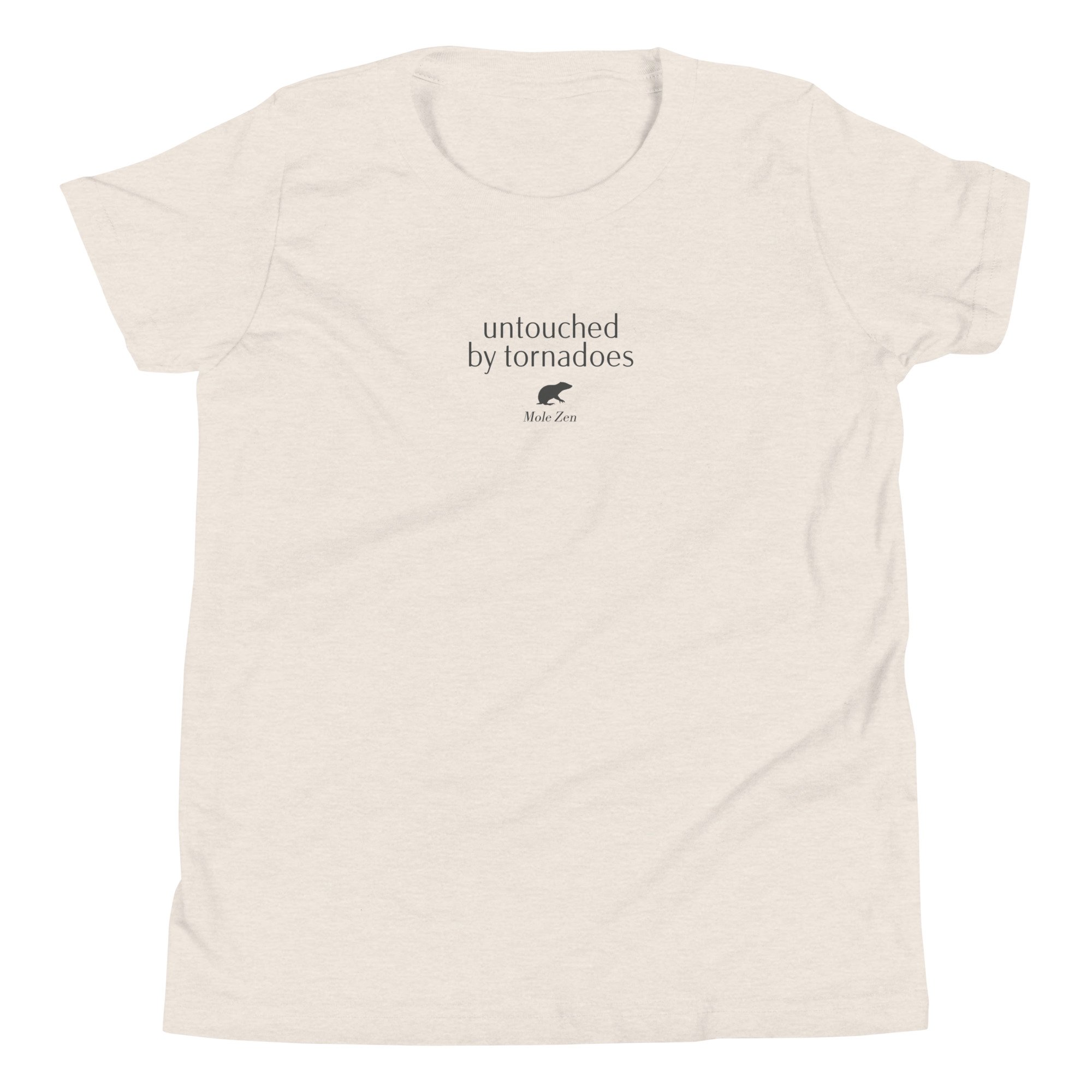 youth-staple-tee-heather-dust-front-6807d10a1c9a9.jpg