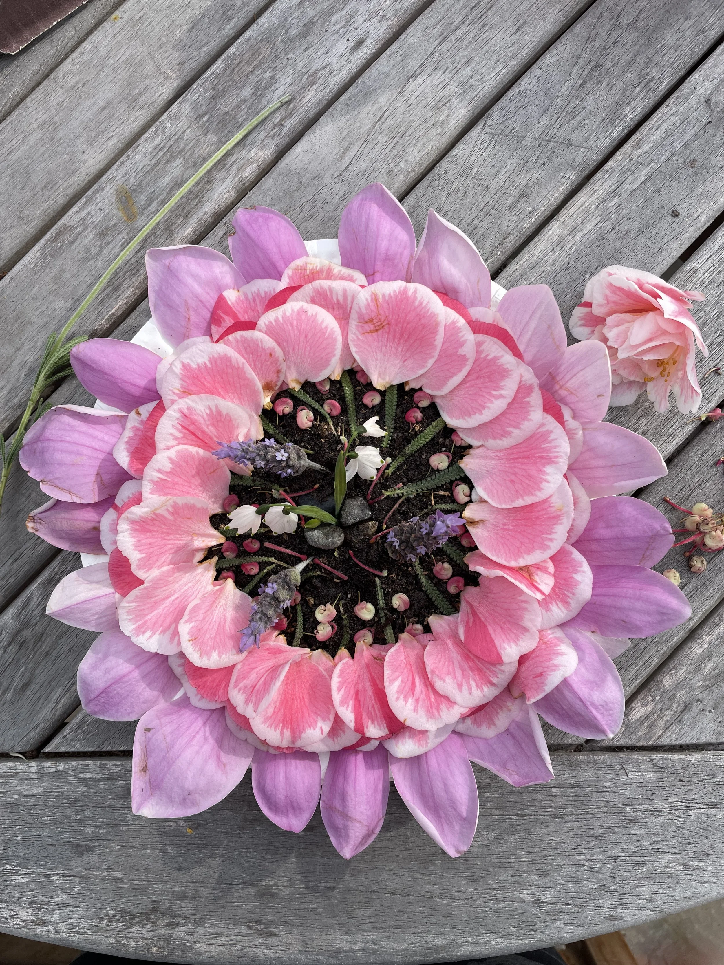 What's the Whisper? Heather's Journey to Trusting Intuition